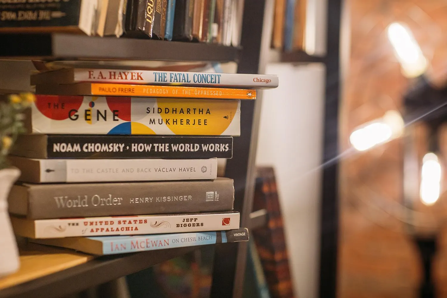 Library in Timber Boutique Hotel