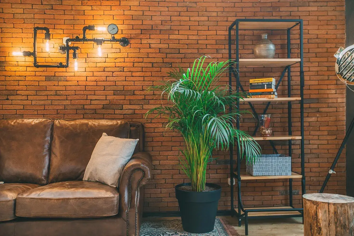 Lobby or reception in Timber Boutique Hotel Lobby or reception in Timber Boutique Hotel