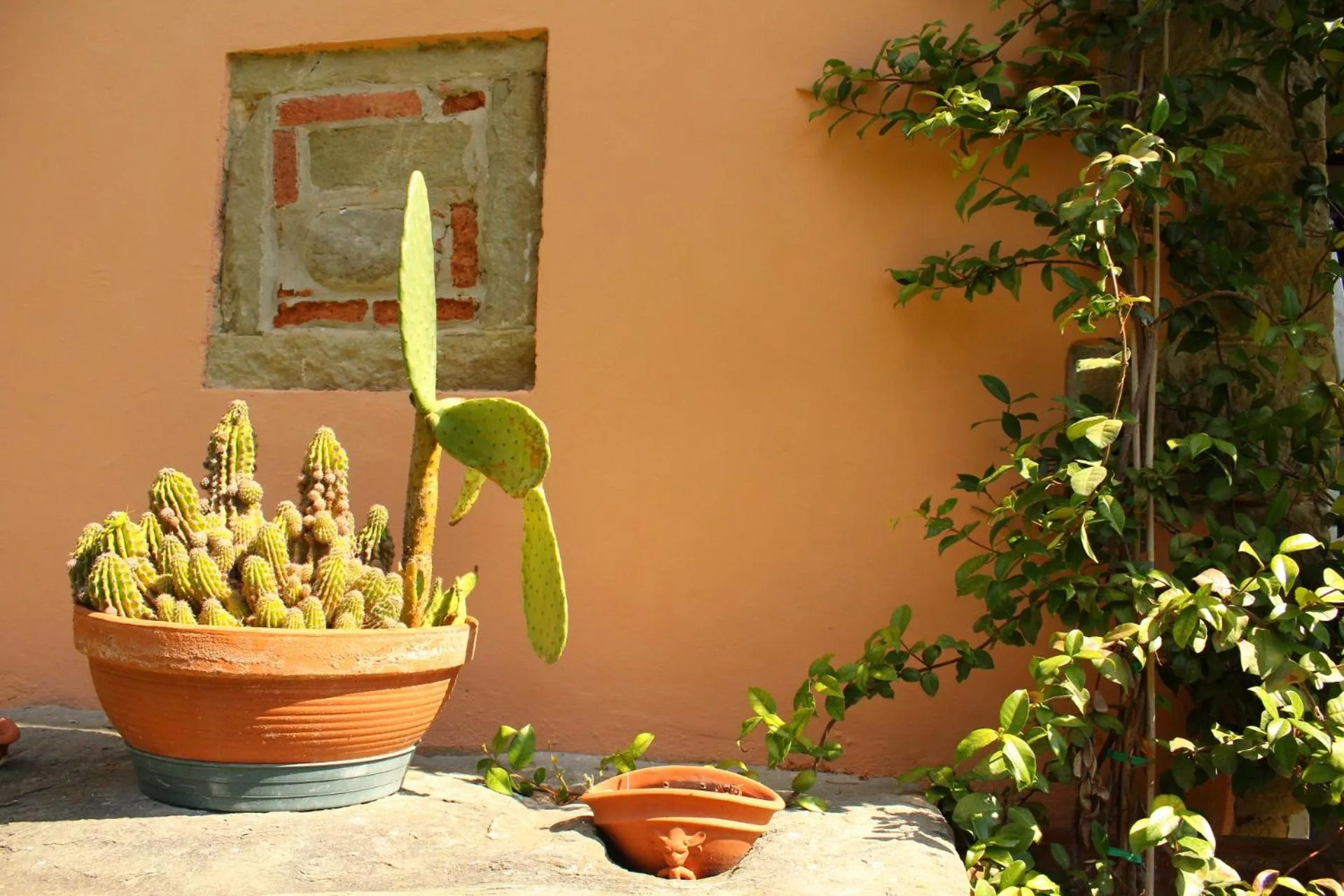 Garden in Il Casolare