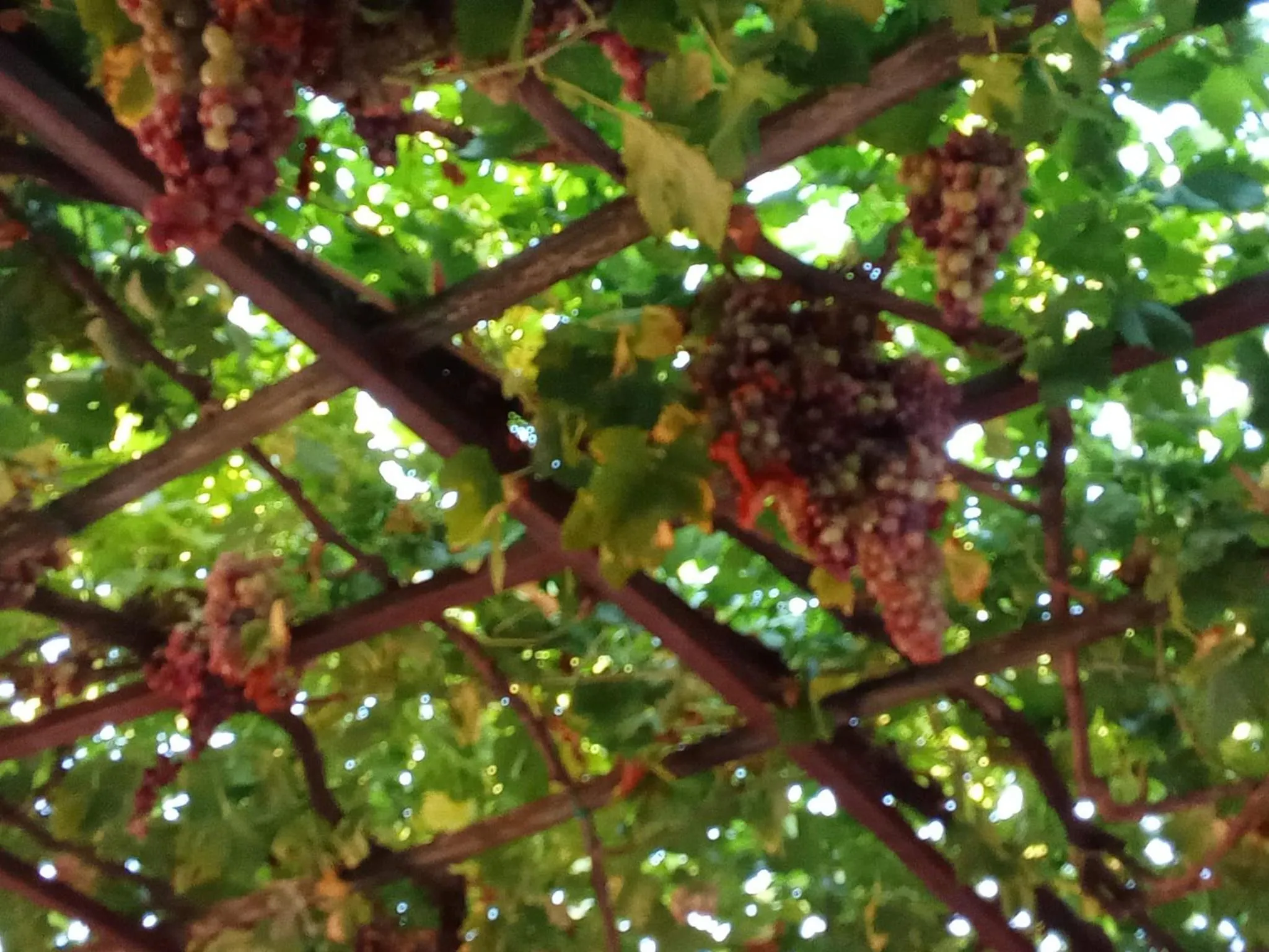 Agriturismo Il Melograno