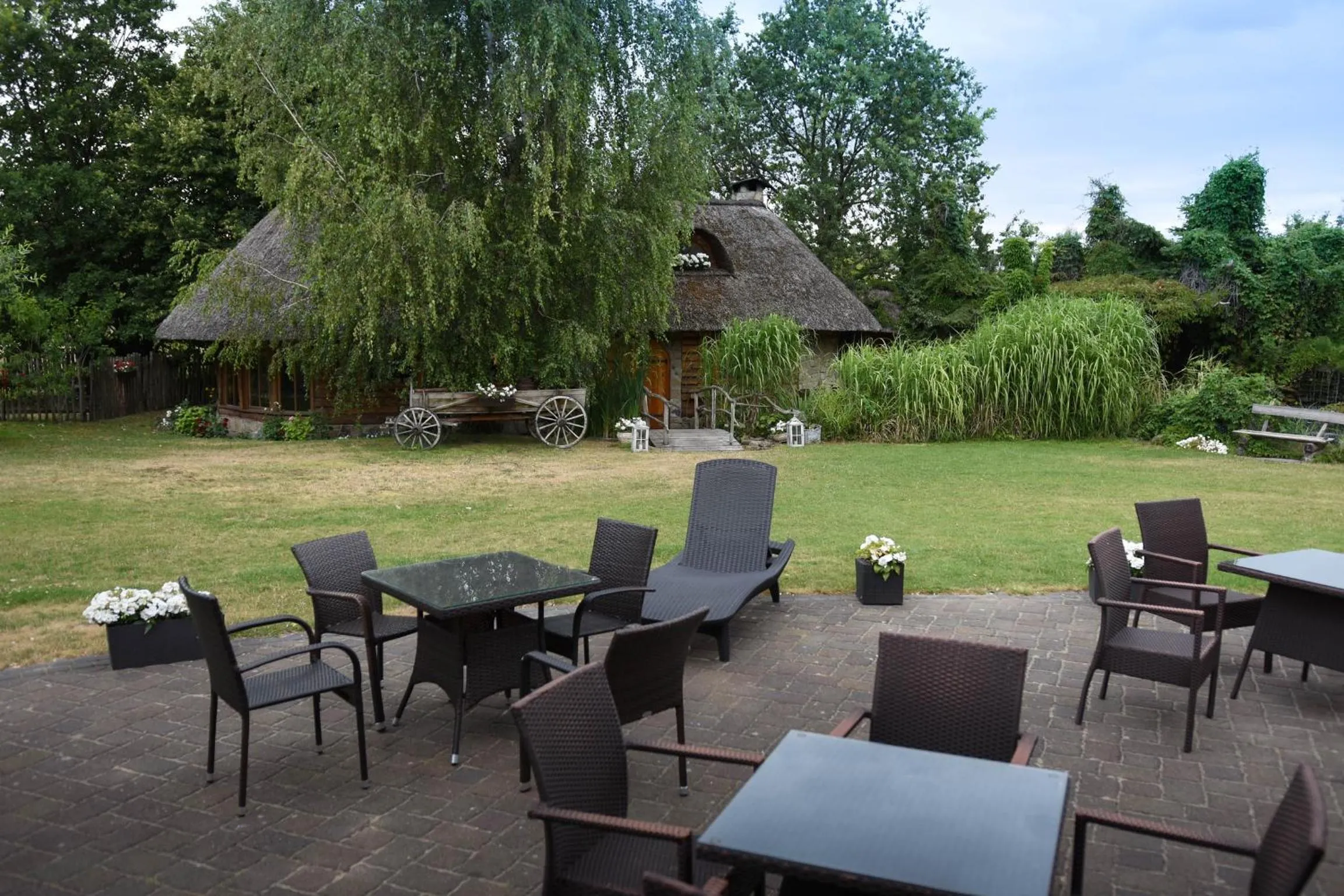 Natural landscape in Hotel Jaśmin