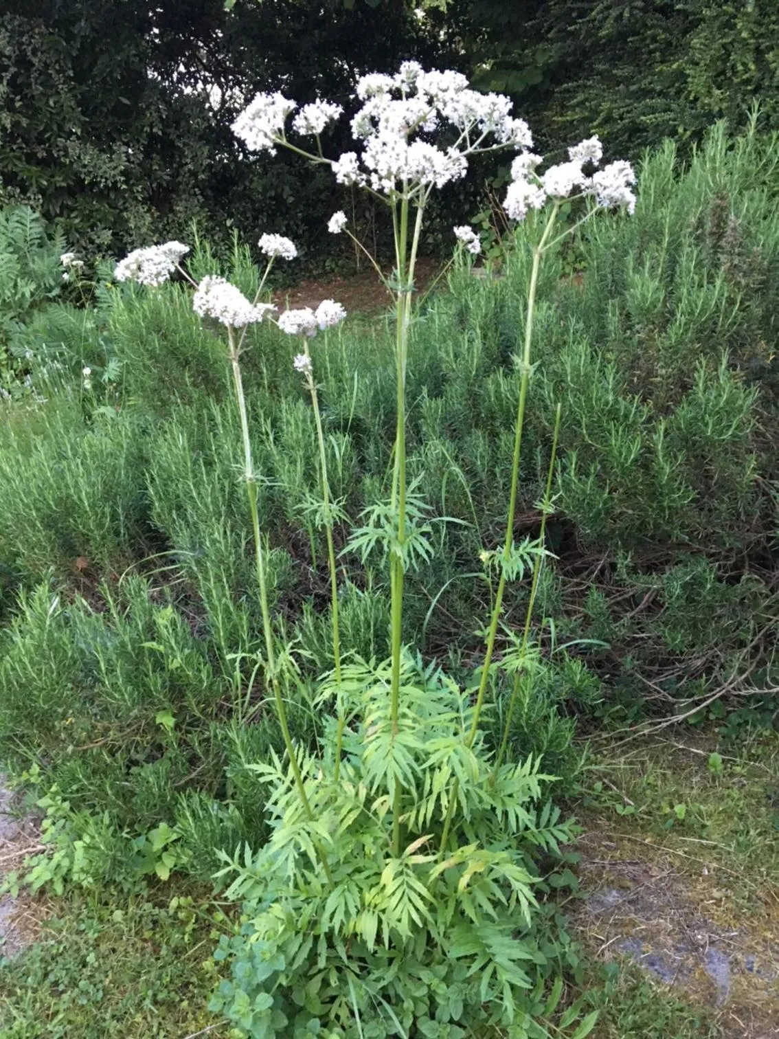 Property building in Campagn'Art