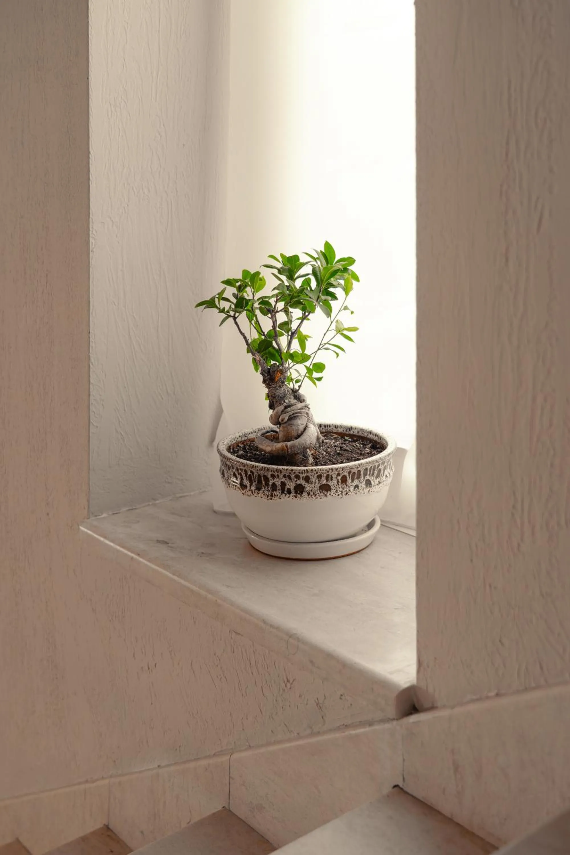 Family Hotel Edia-Sandanski