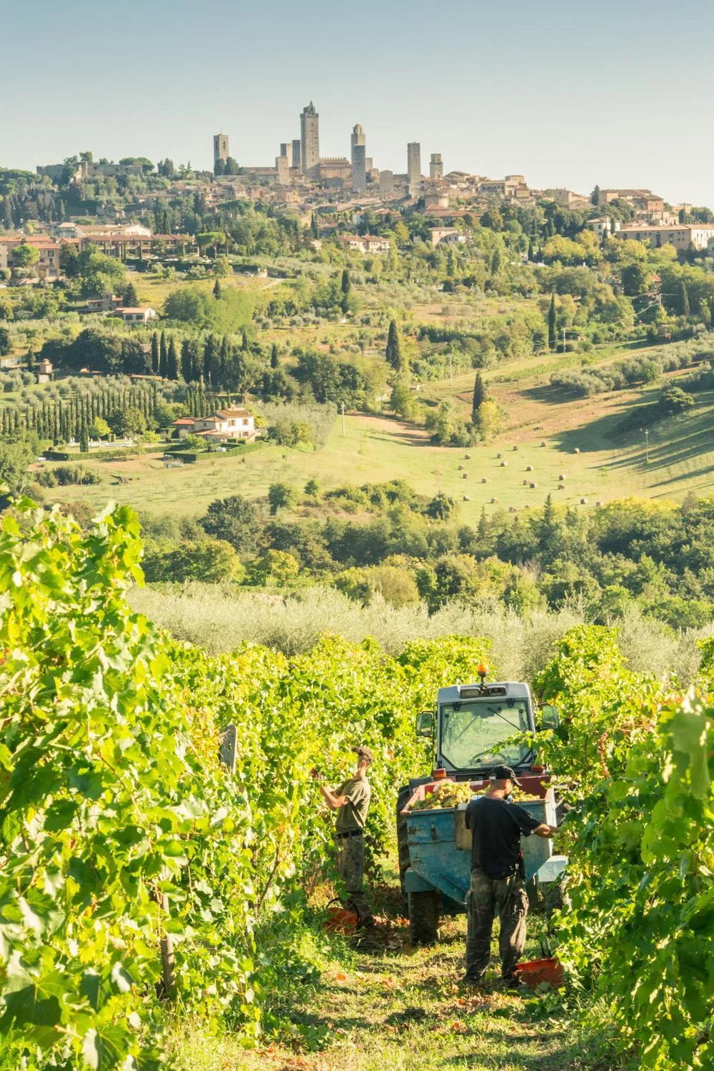 Other in Agriturismo Il Casolare Di Bucciano