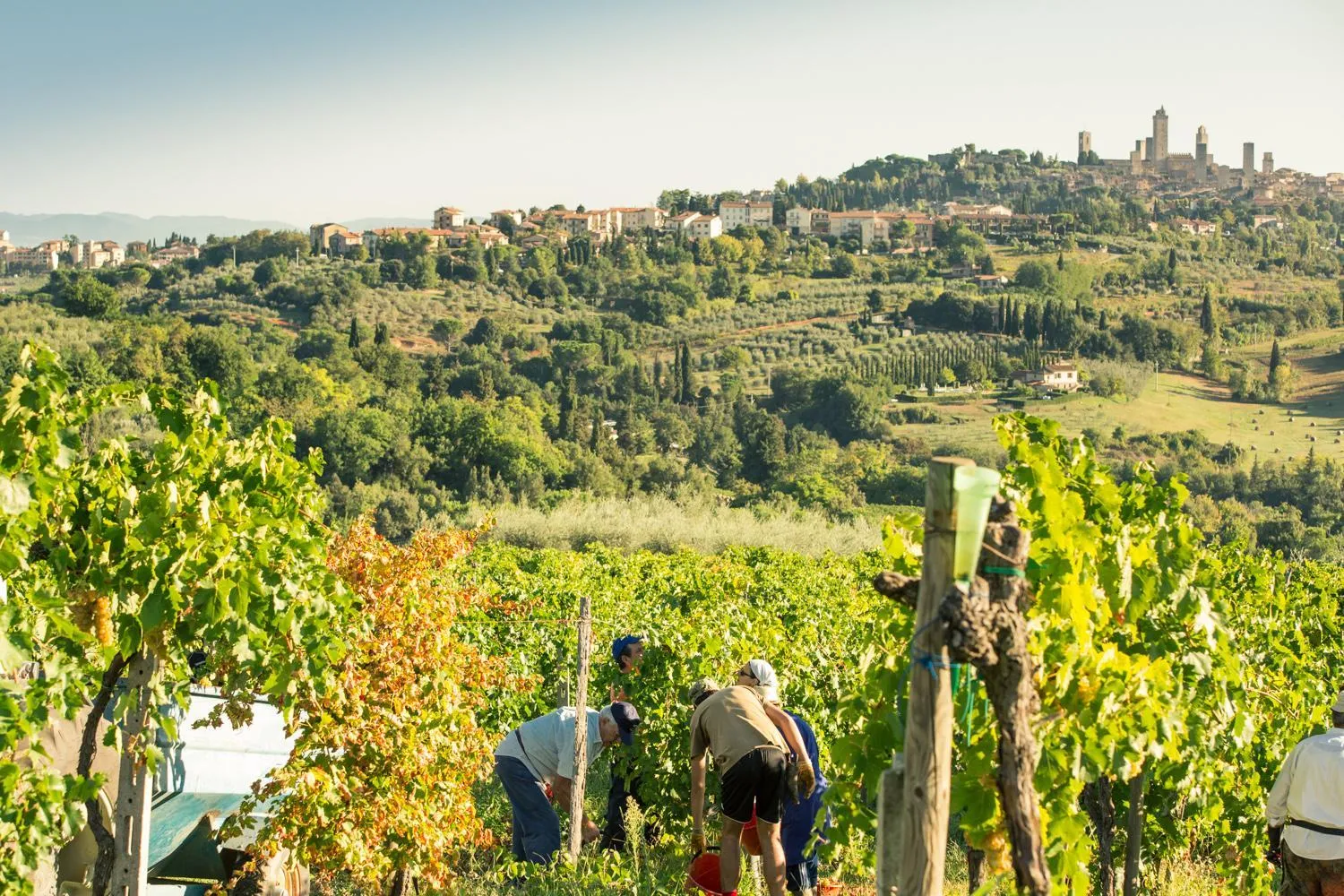 People in Agriturismo Il Casolare Di Bucciano