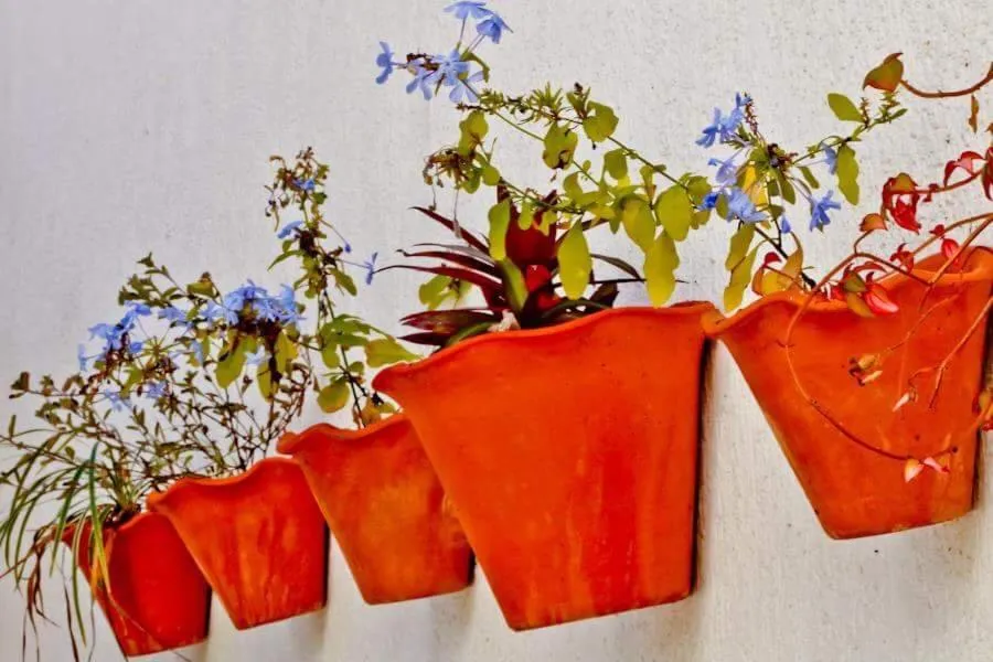 Casa Bossa Nova Guesthouse