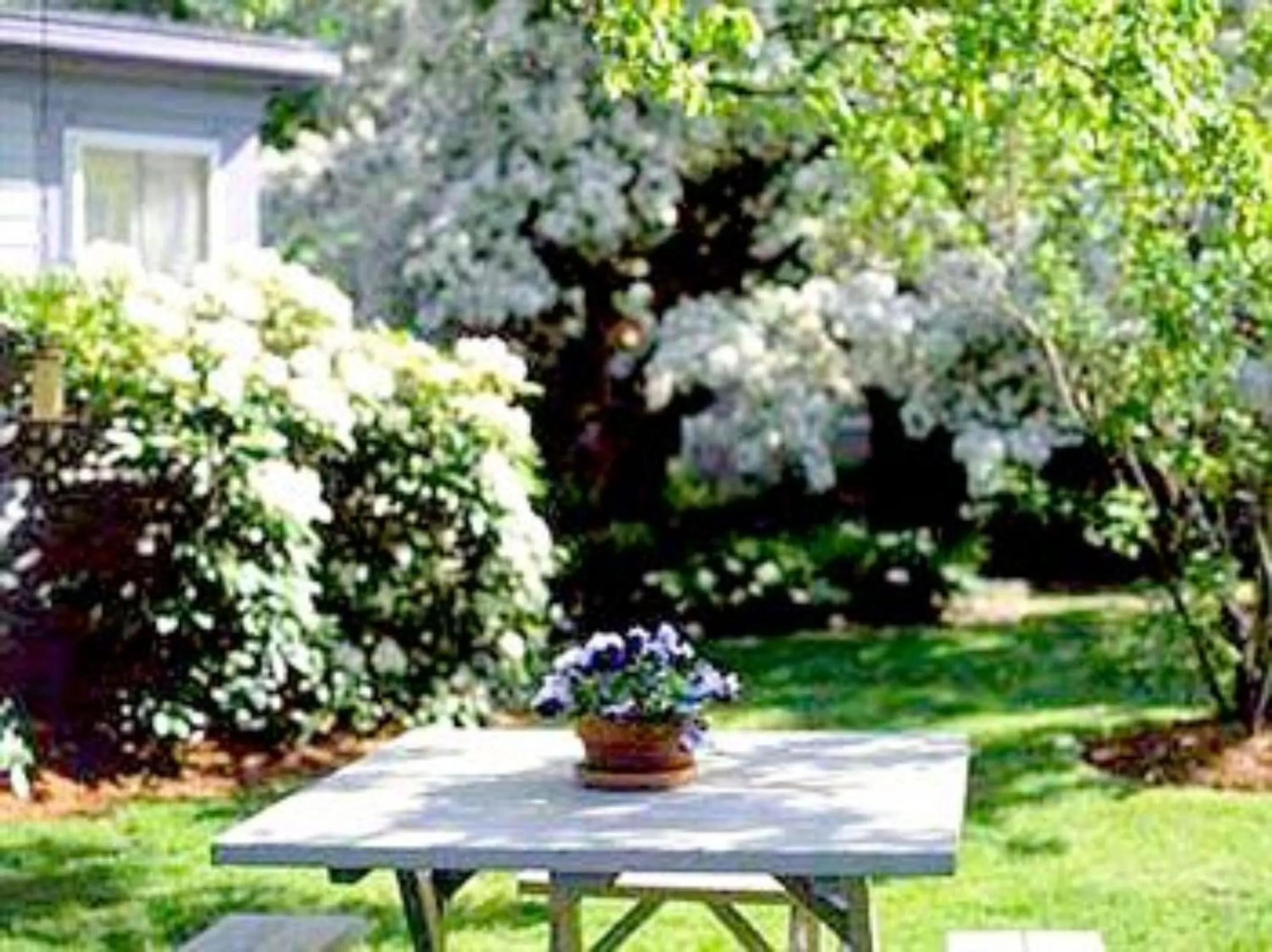 Other in Snug Cottage