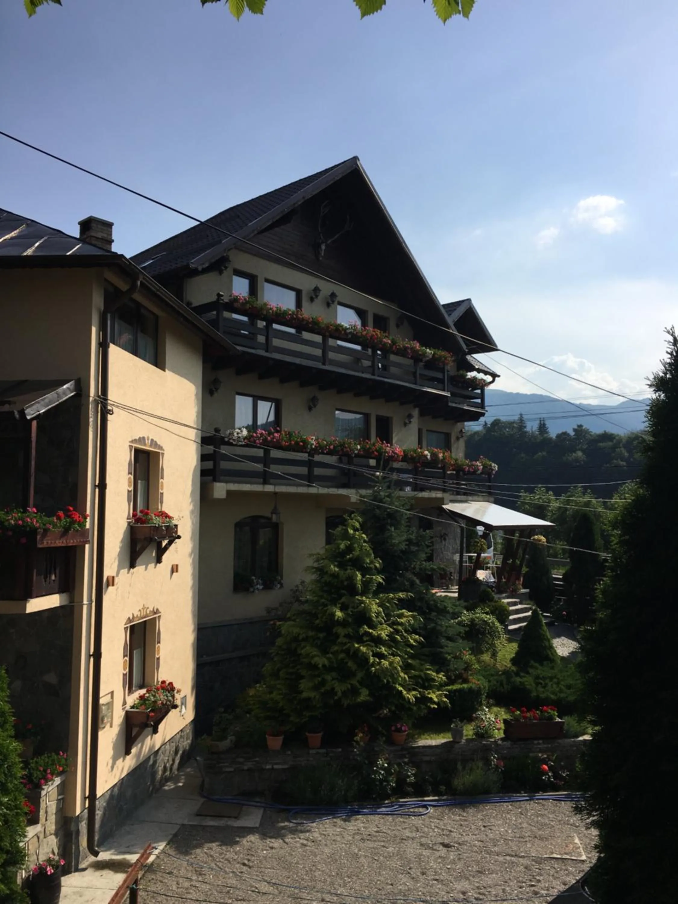 Pension Casa Ali & Andu