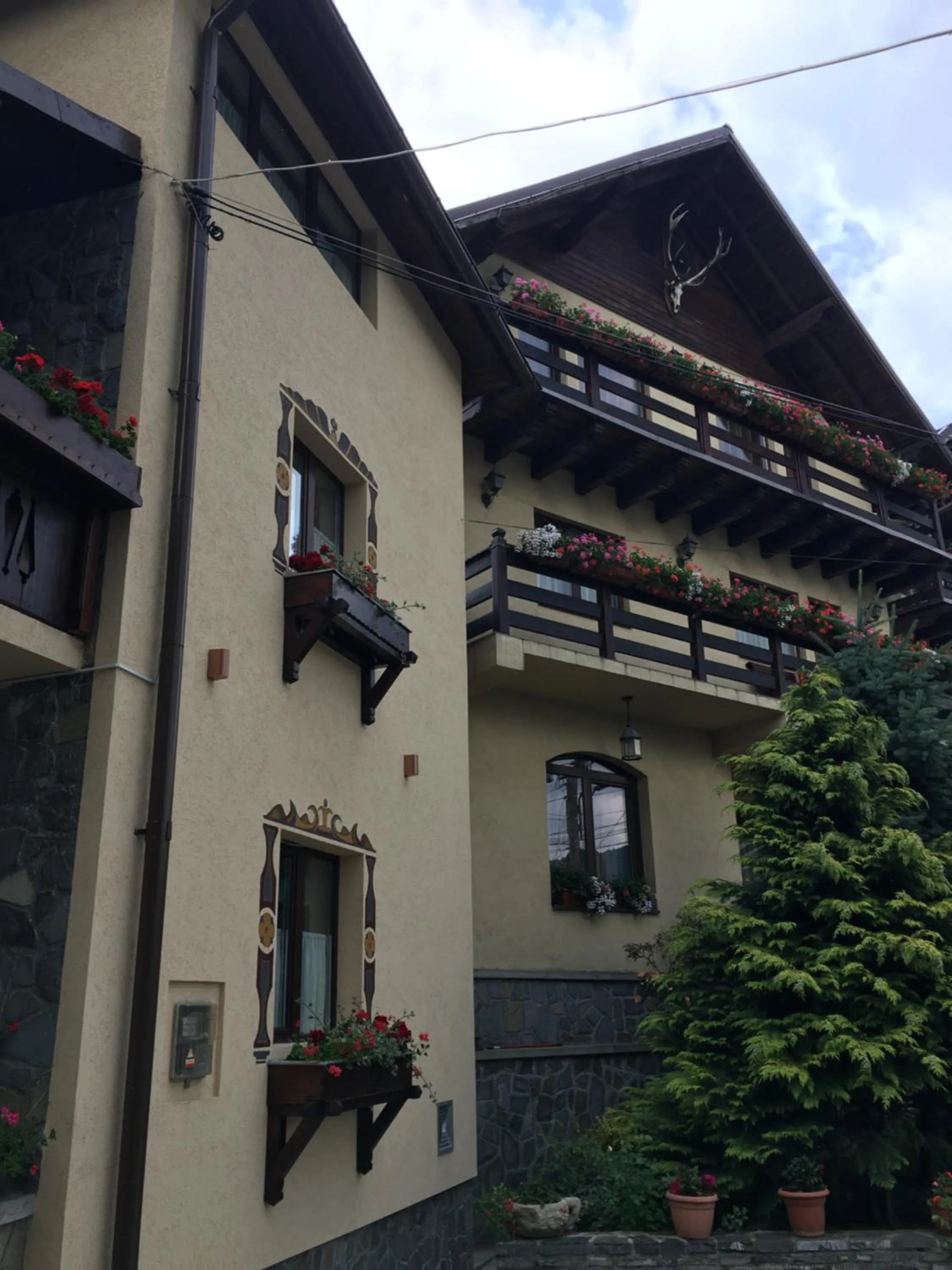 Pension Casa Ali & Andu