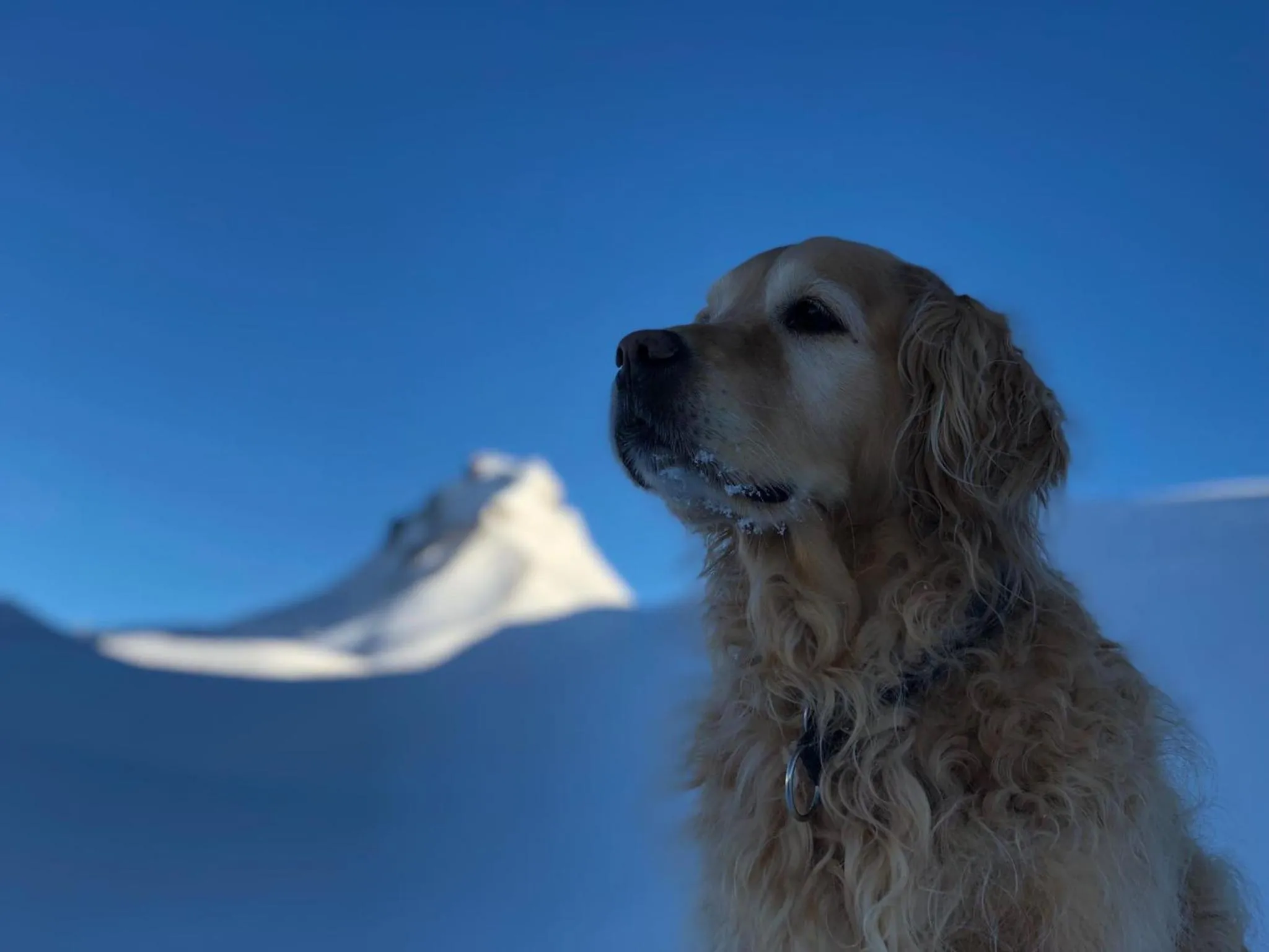 Hiking in Hotel Walisgaden superior