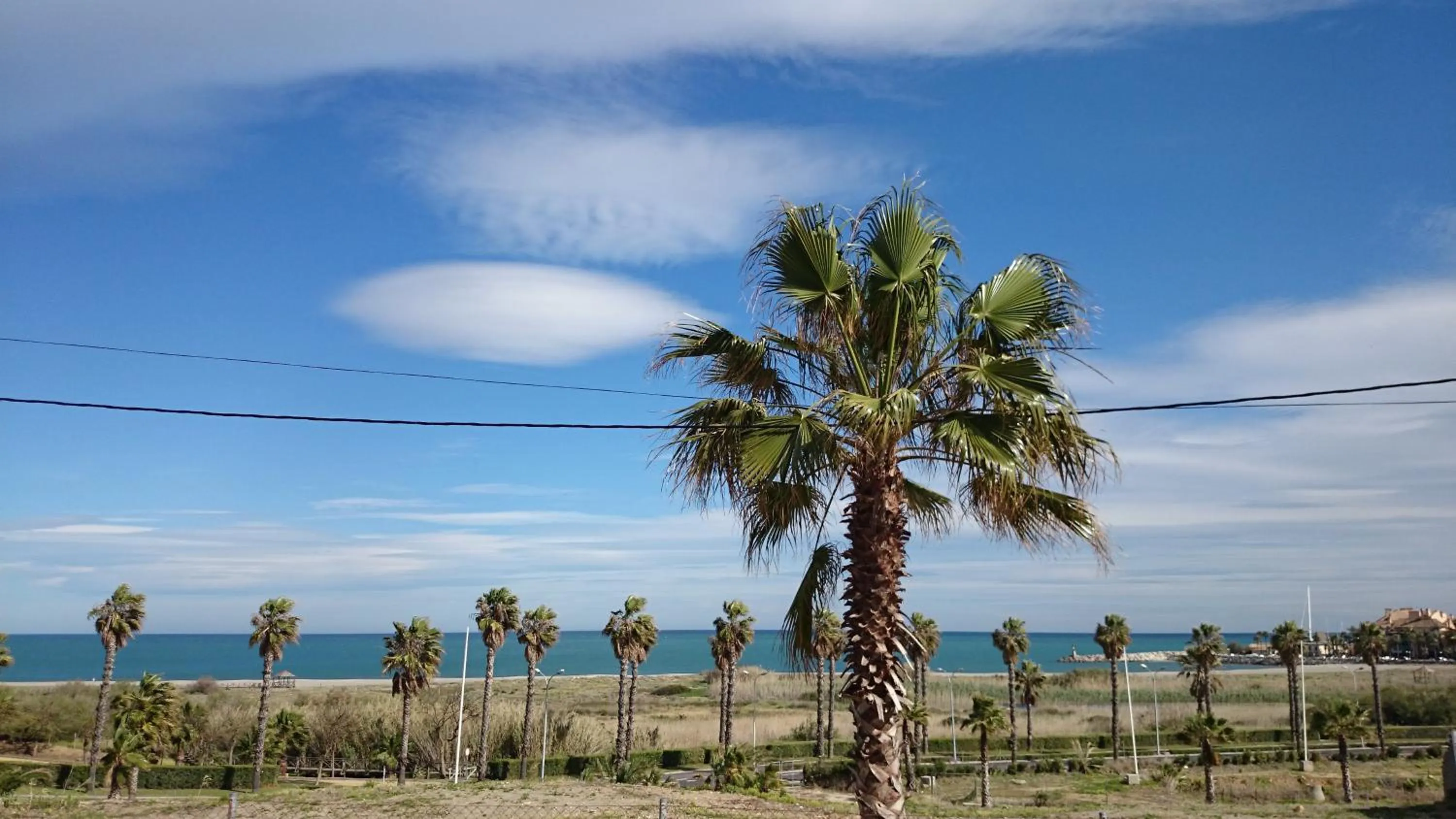 Nearby landmark in Hotel Las Camelias