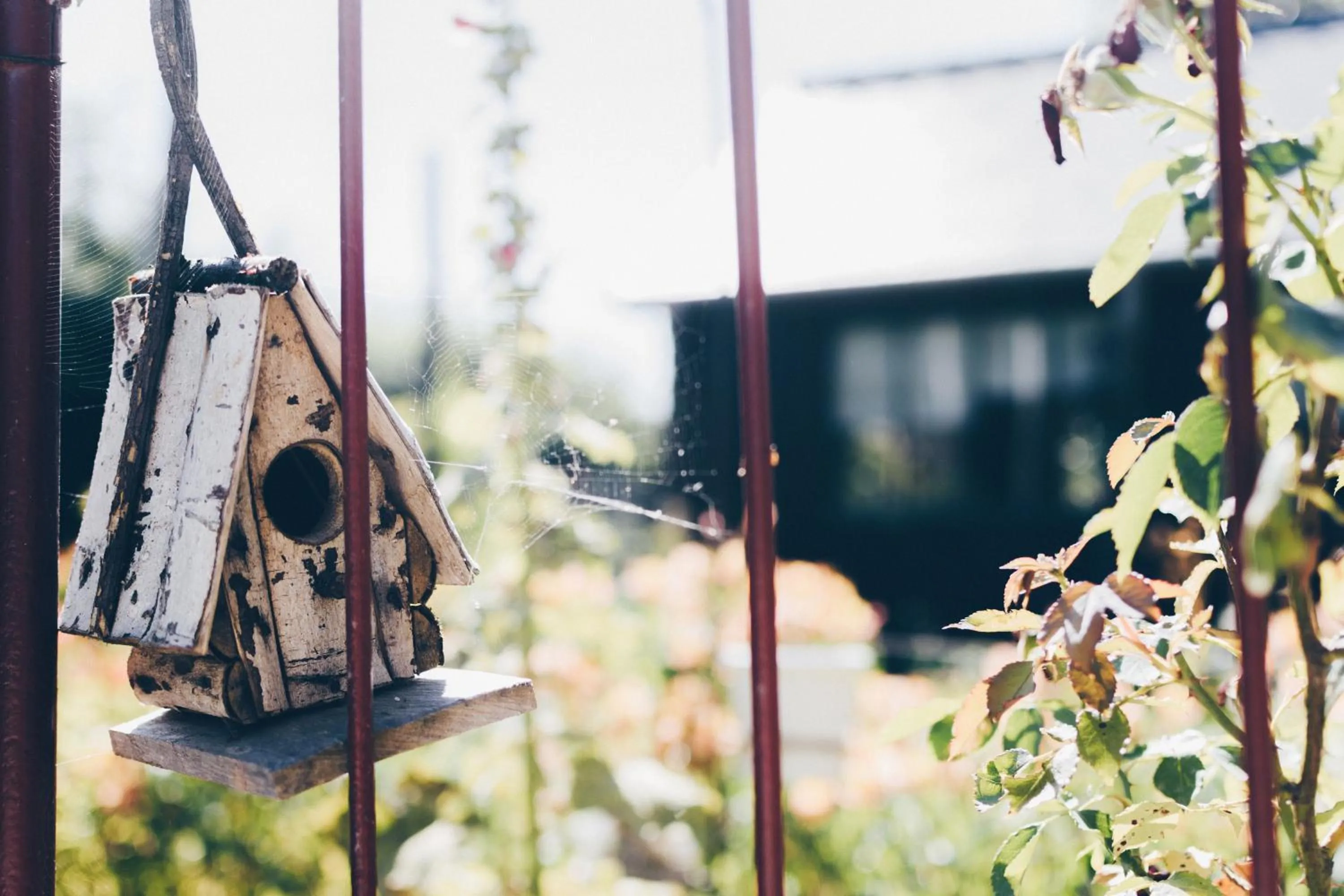 Garden in Chambres d'hôtes Le Clos d'Enhaut