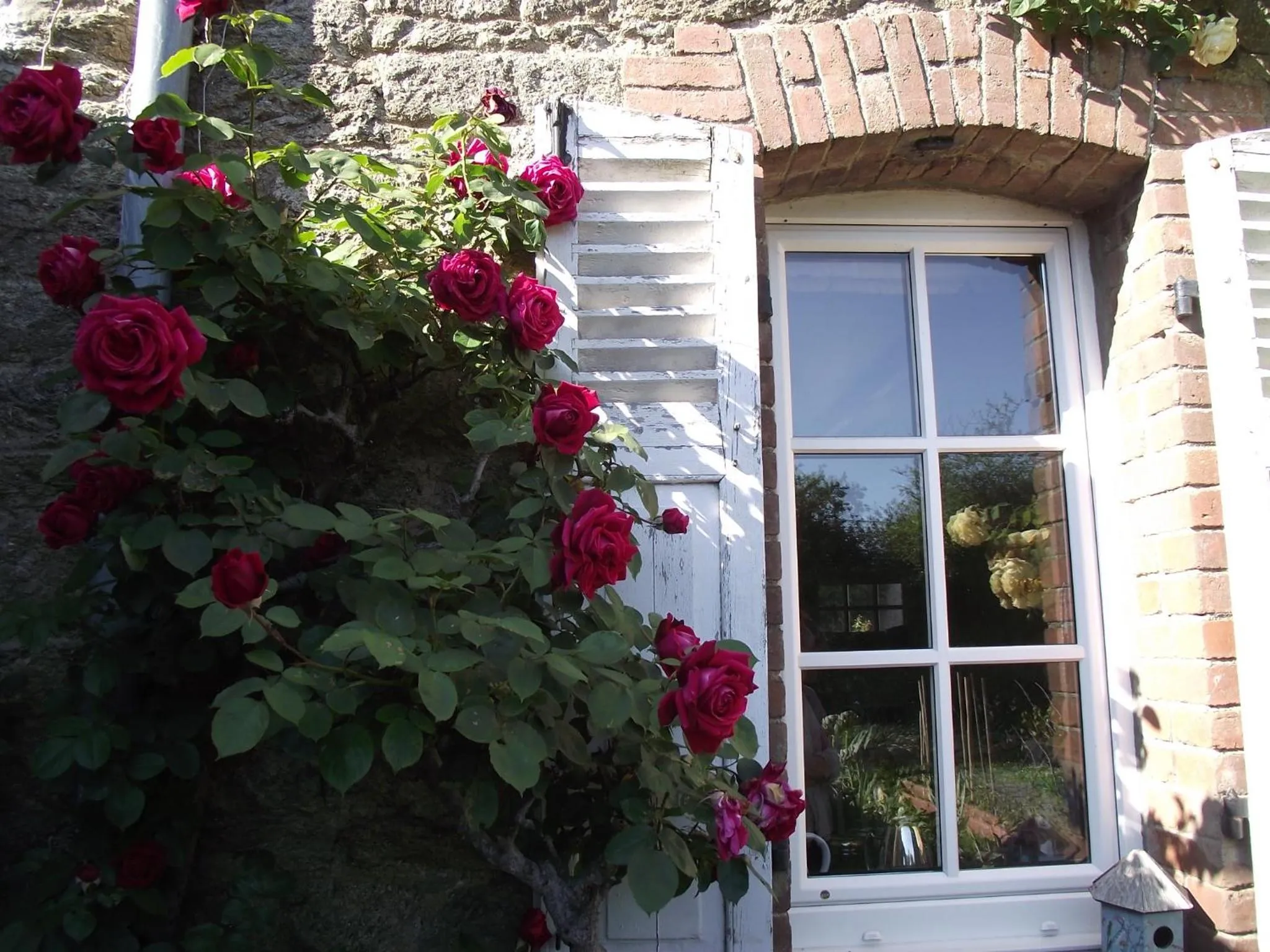 Garden in Chambres d'hôtes Le Clos d'Enhaut