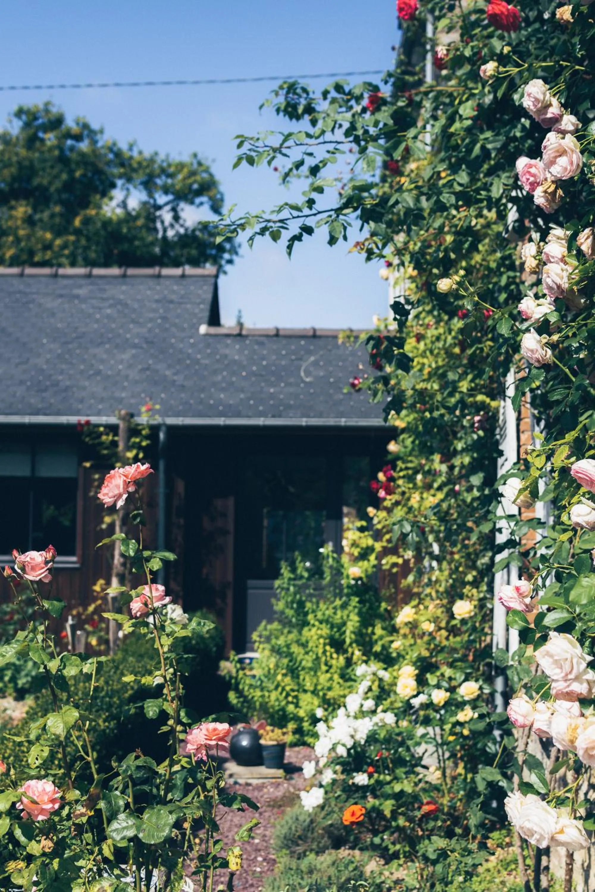 Garden in Chambres d'hôtes Le Clos d'Enhaut