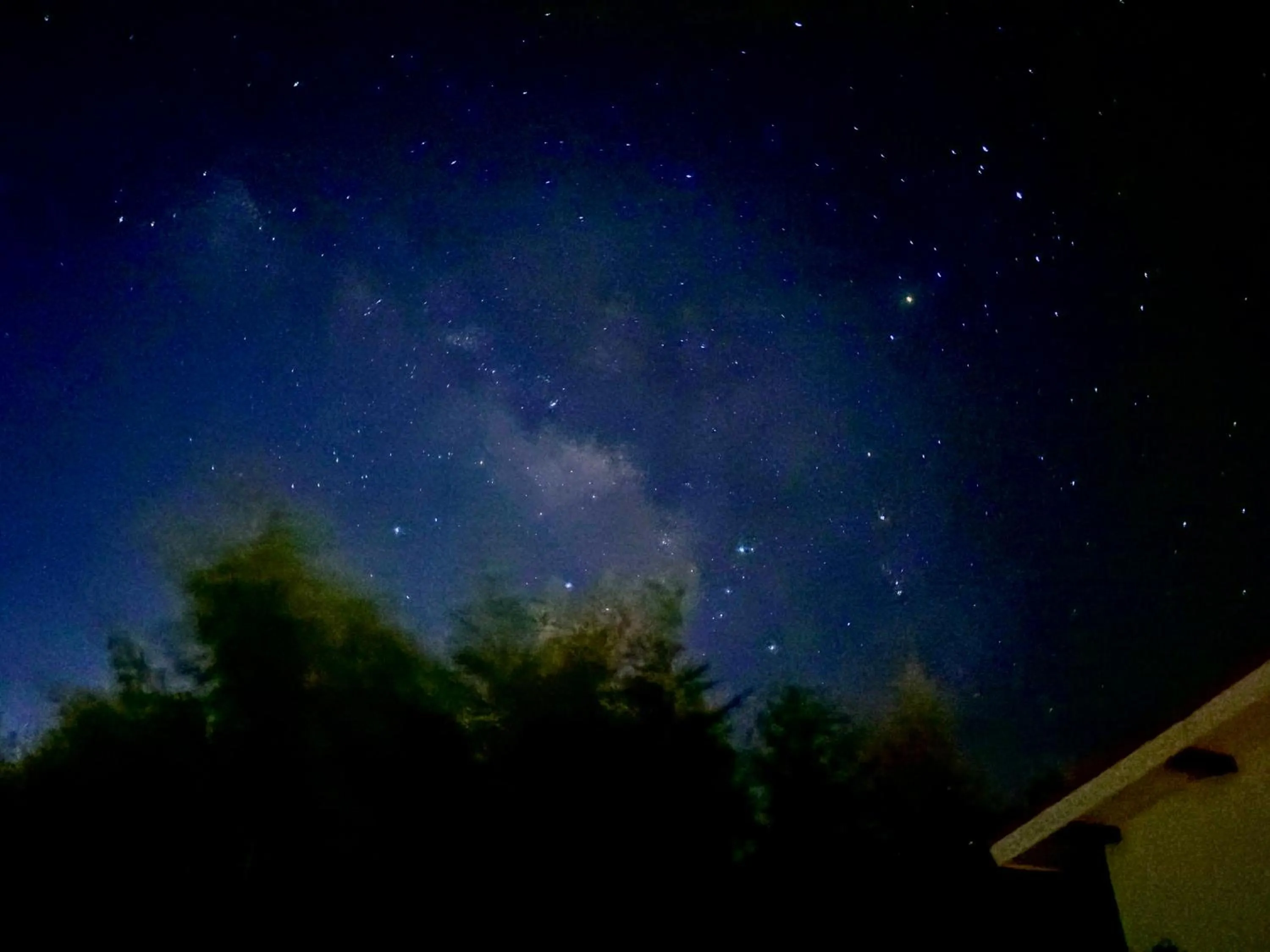 Night in Wellness pension Coco