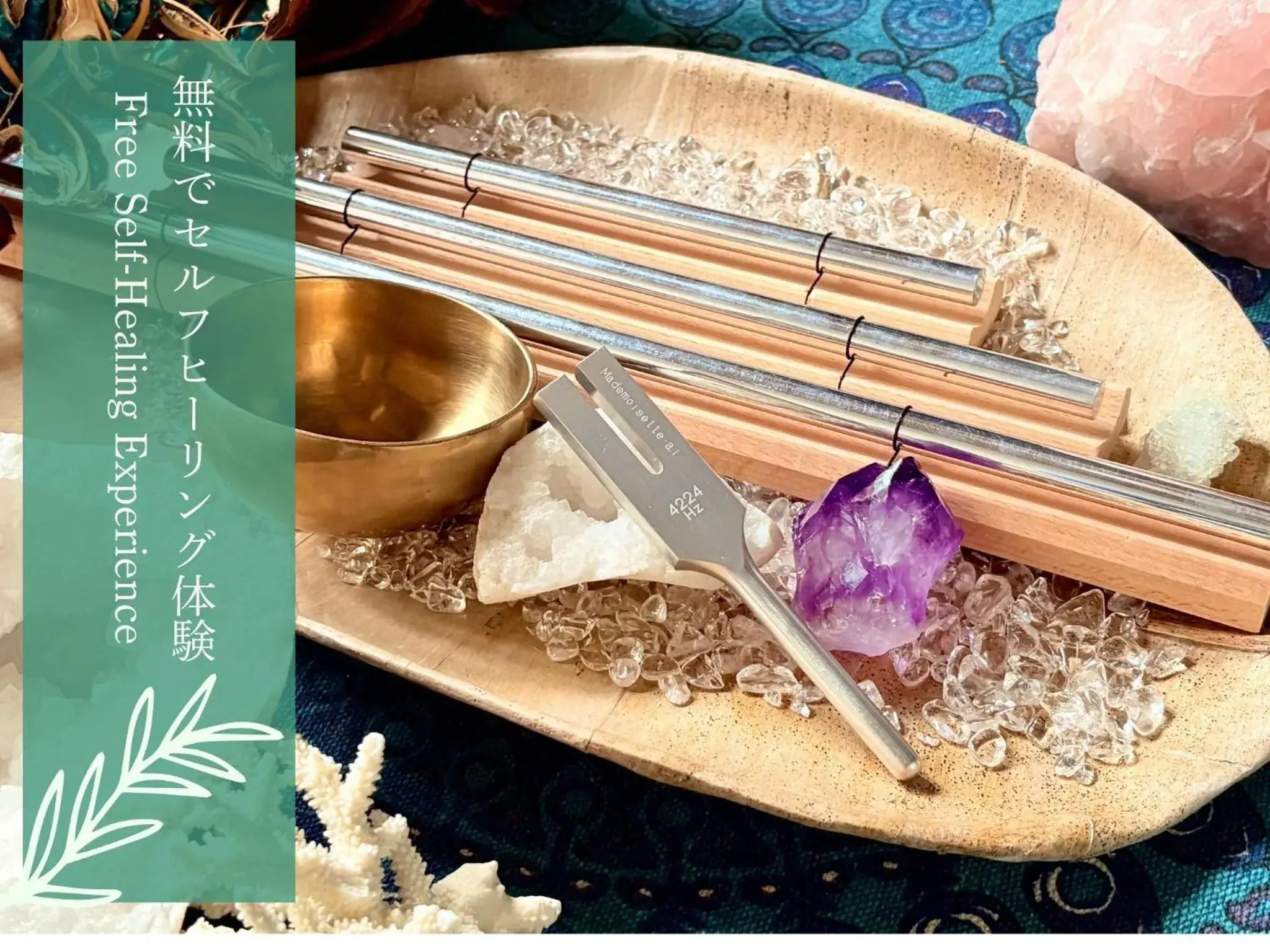 Photo of the whole room in Wellness pension Coco Photo of the whole room in Wellness pension Coco