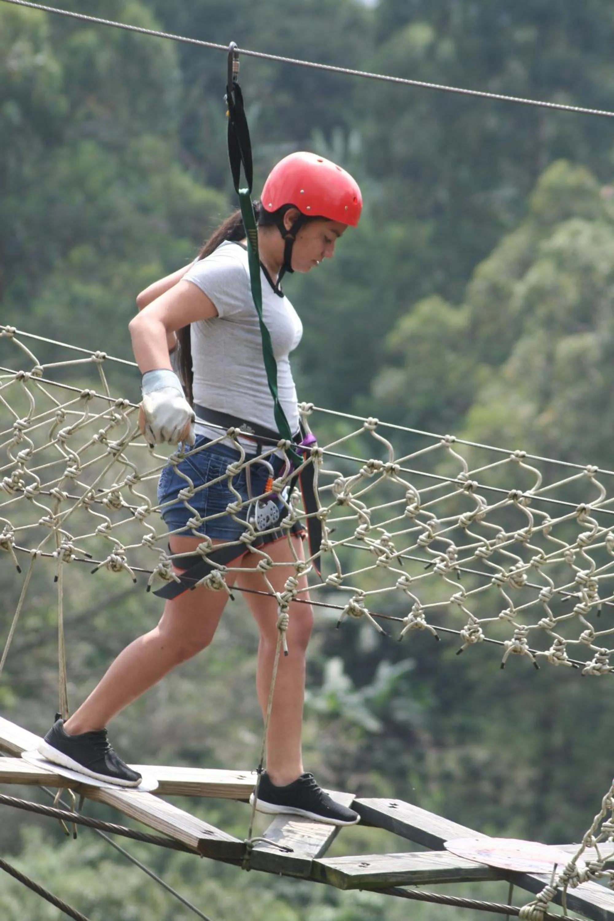 Hotel Monte Campana Heredia