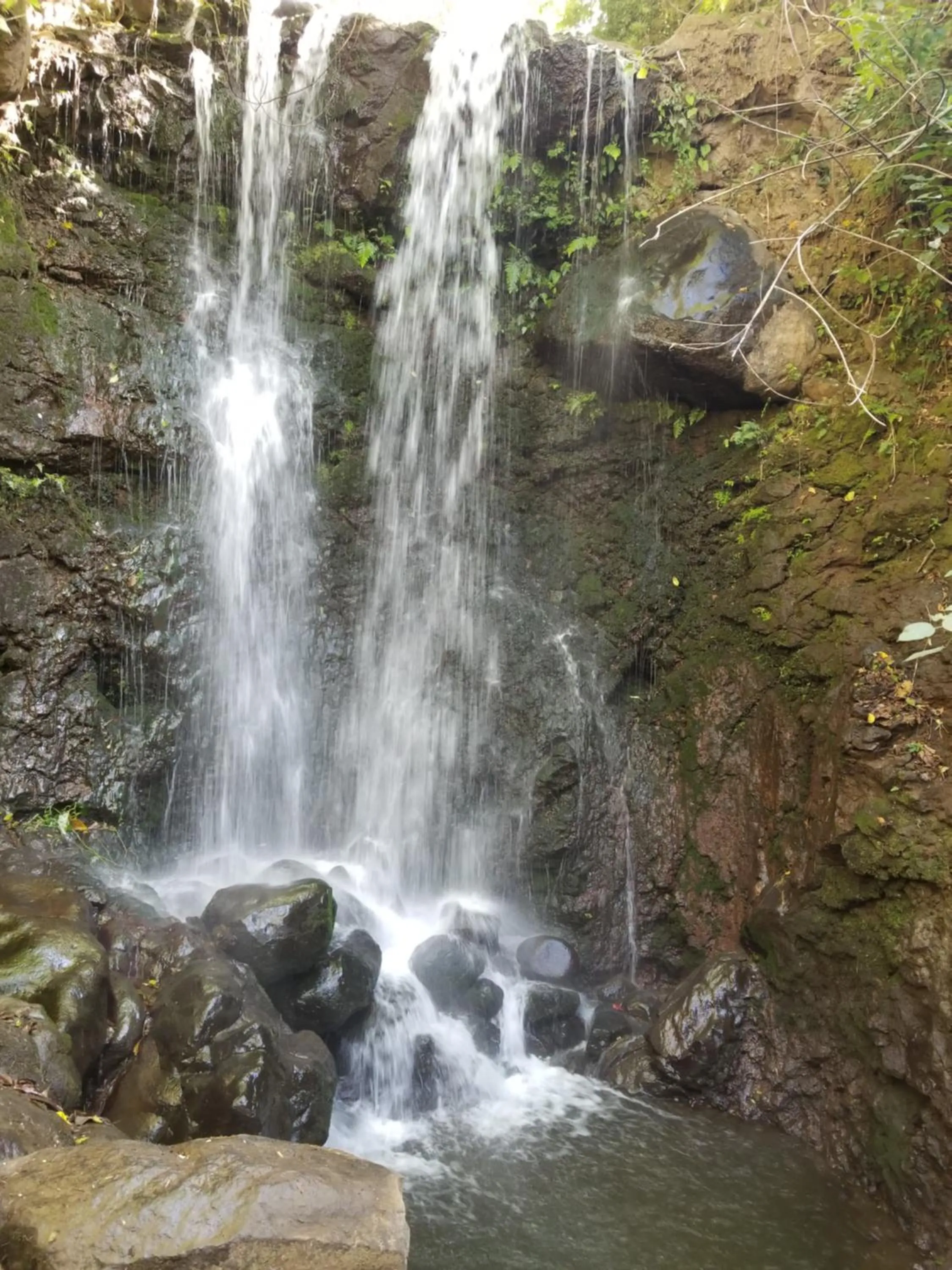 Hotel Monte Campana Heredia