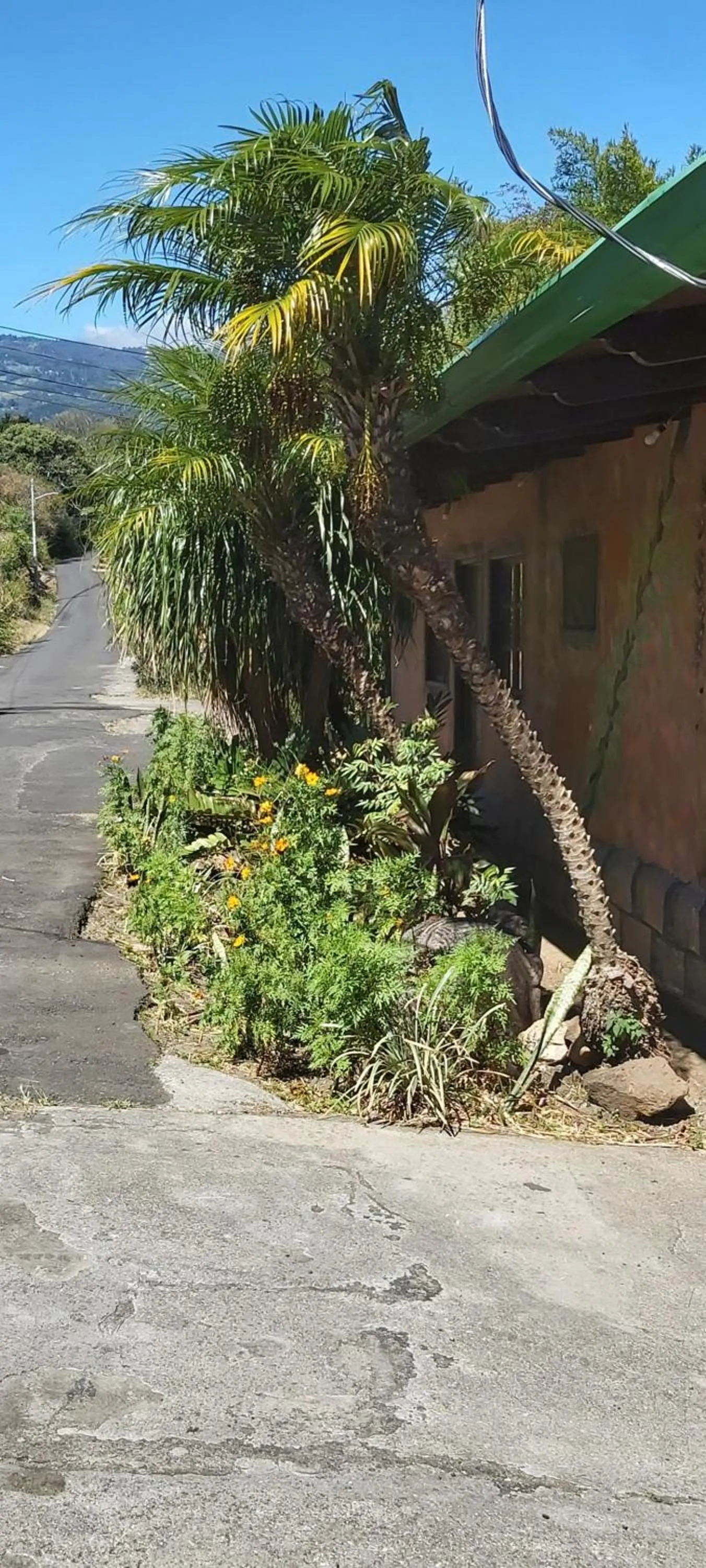 Hotel Monte Campana Heredia