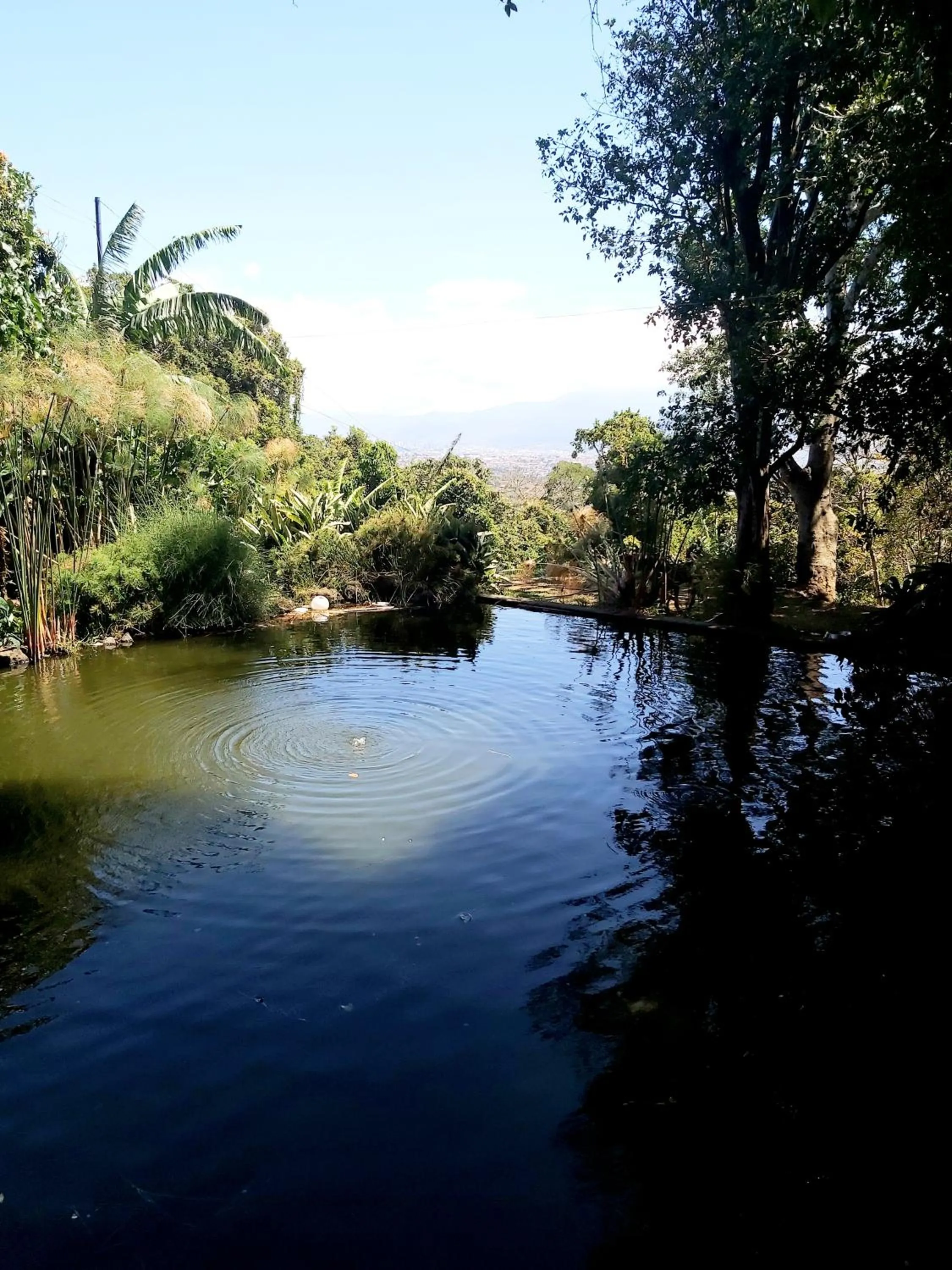 Hotel Monte Campana Heredia