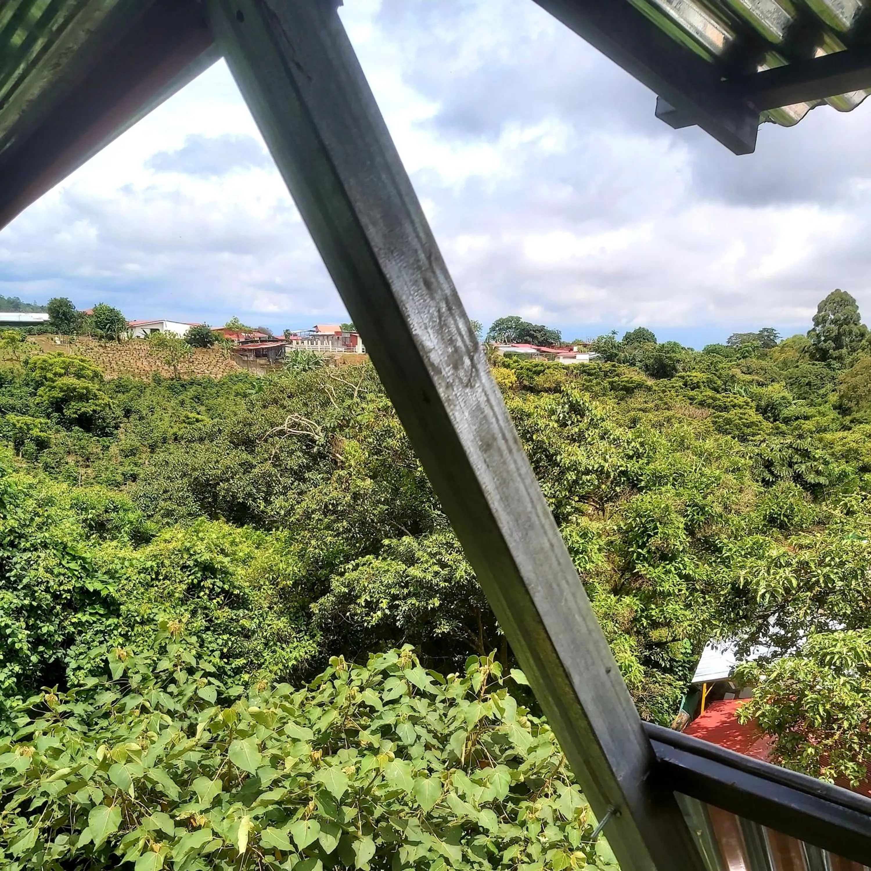 Mountain view in Hotel Monte Campana Heredia