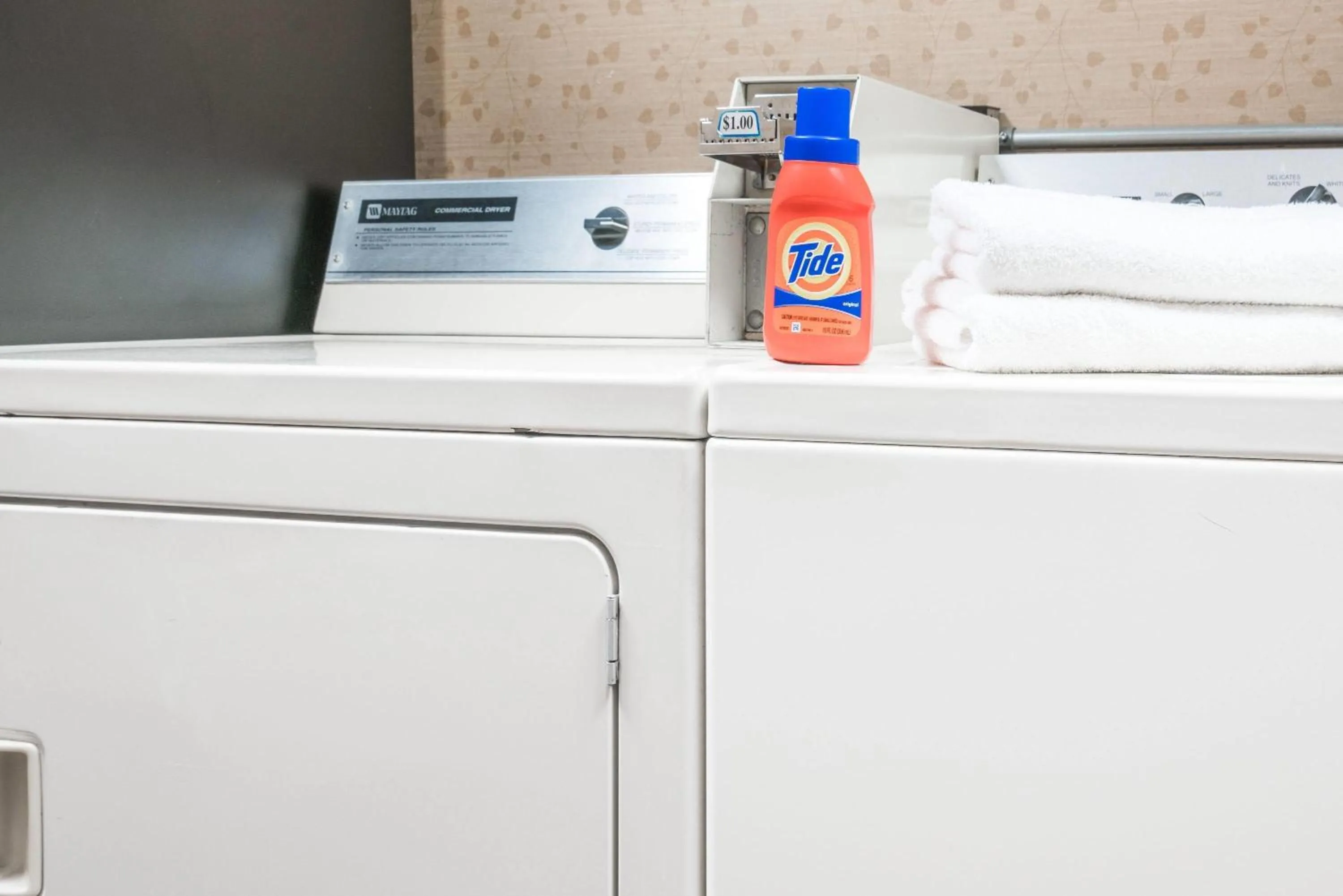 Other in Days Inn & Suites by Wyndham Wausau