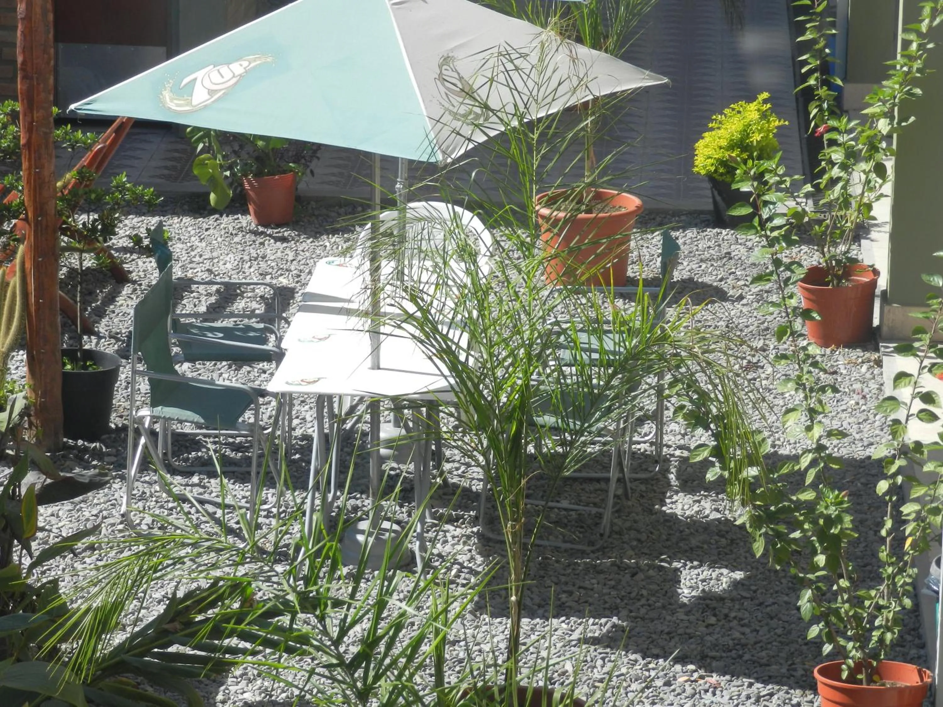 Garden in Hotel Buenos Aires