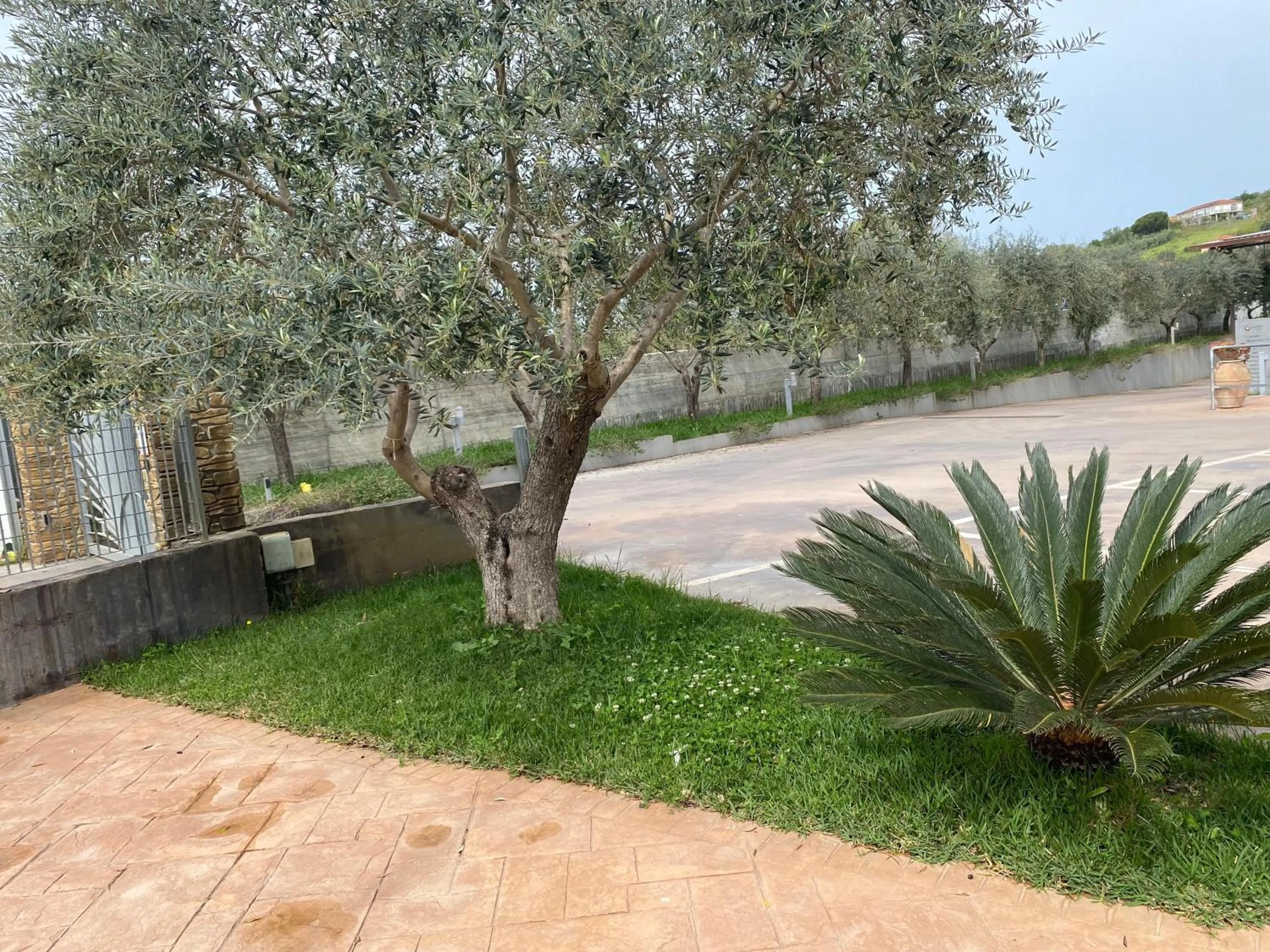 Garden in Miro' Agropoli