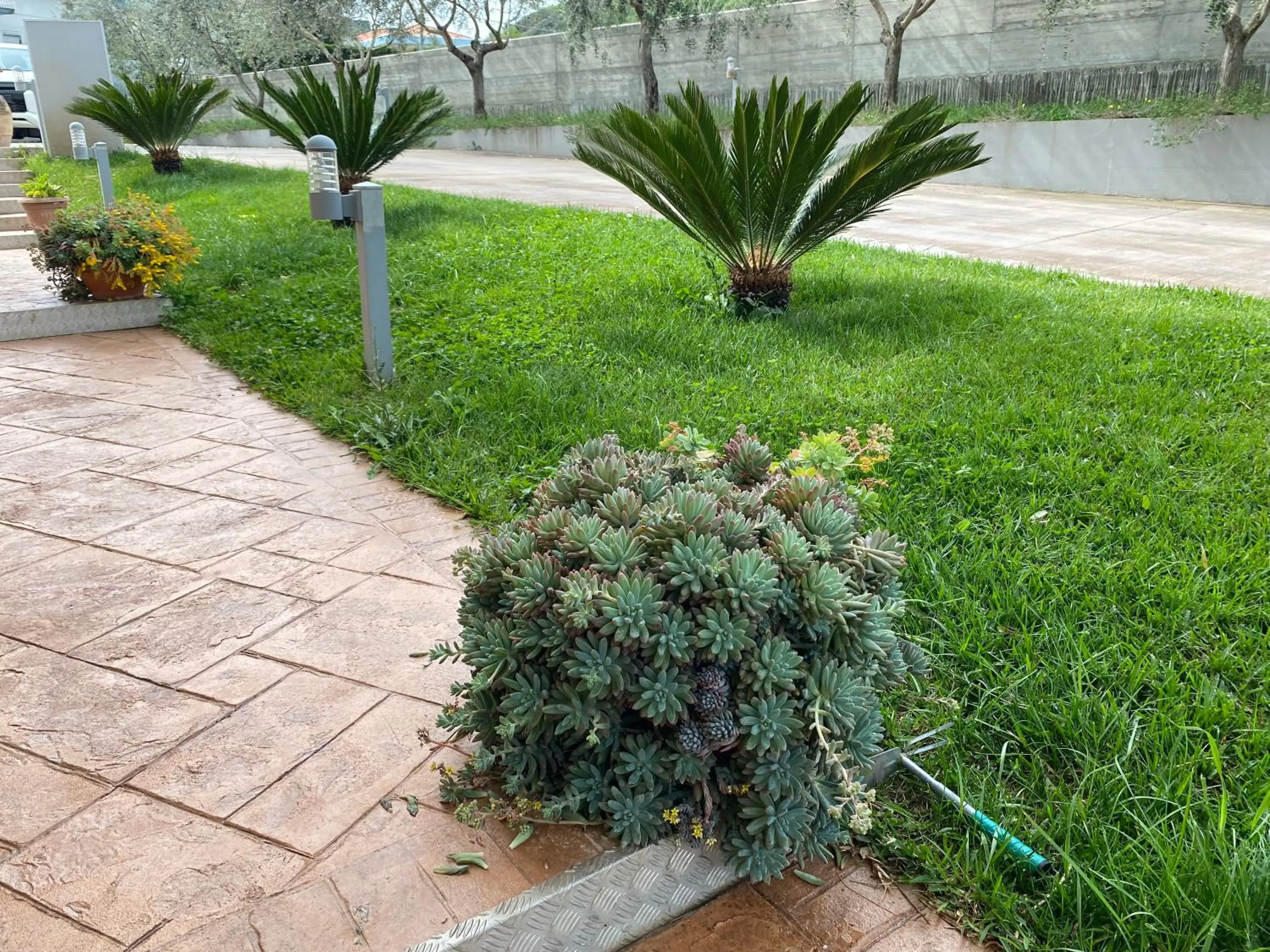 Garden in Miro' Agropoli