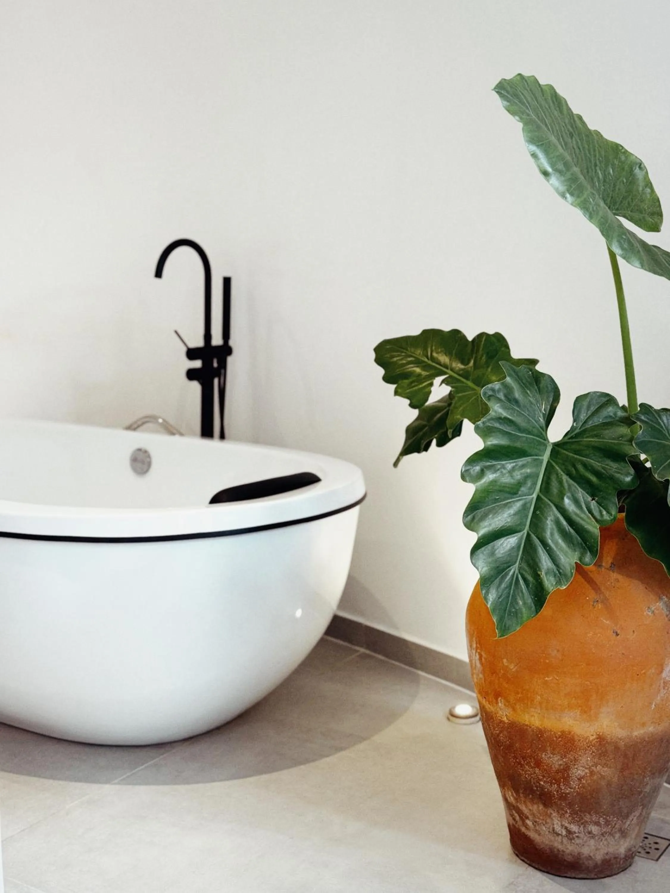 Pousada Ilha do Vento