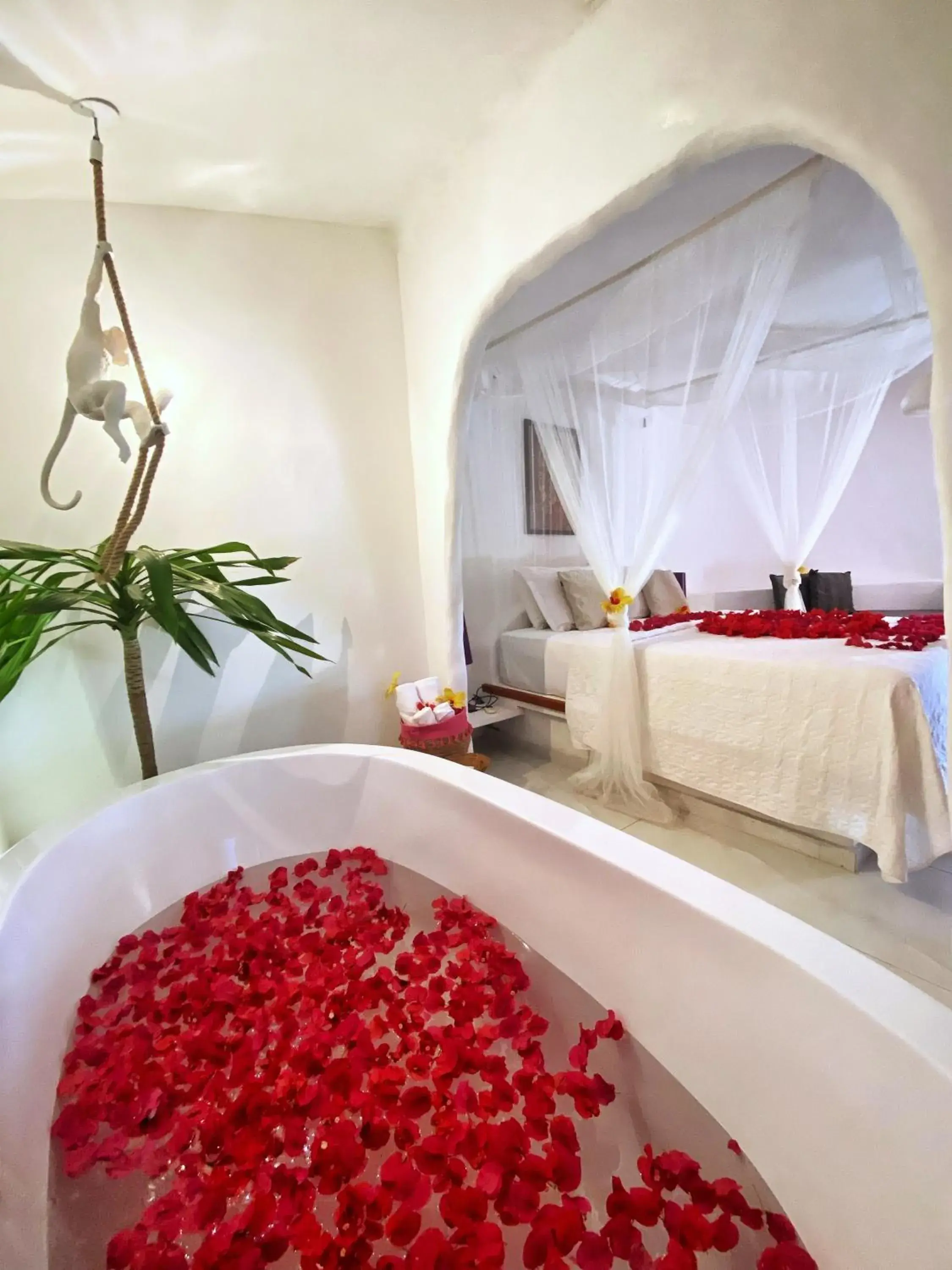 Deluxe Suite with Spa Bath - single occupancy in Pousada Ilha do Vento Deluxe Suite with Spa Bath - single occupancy in Pousada Ilha do Vento