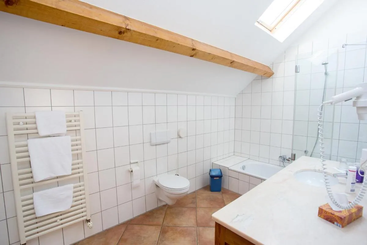 Shower in Landhotel Battenheimer Hof