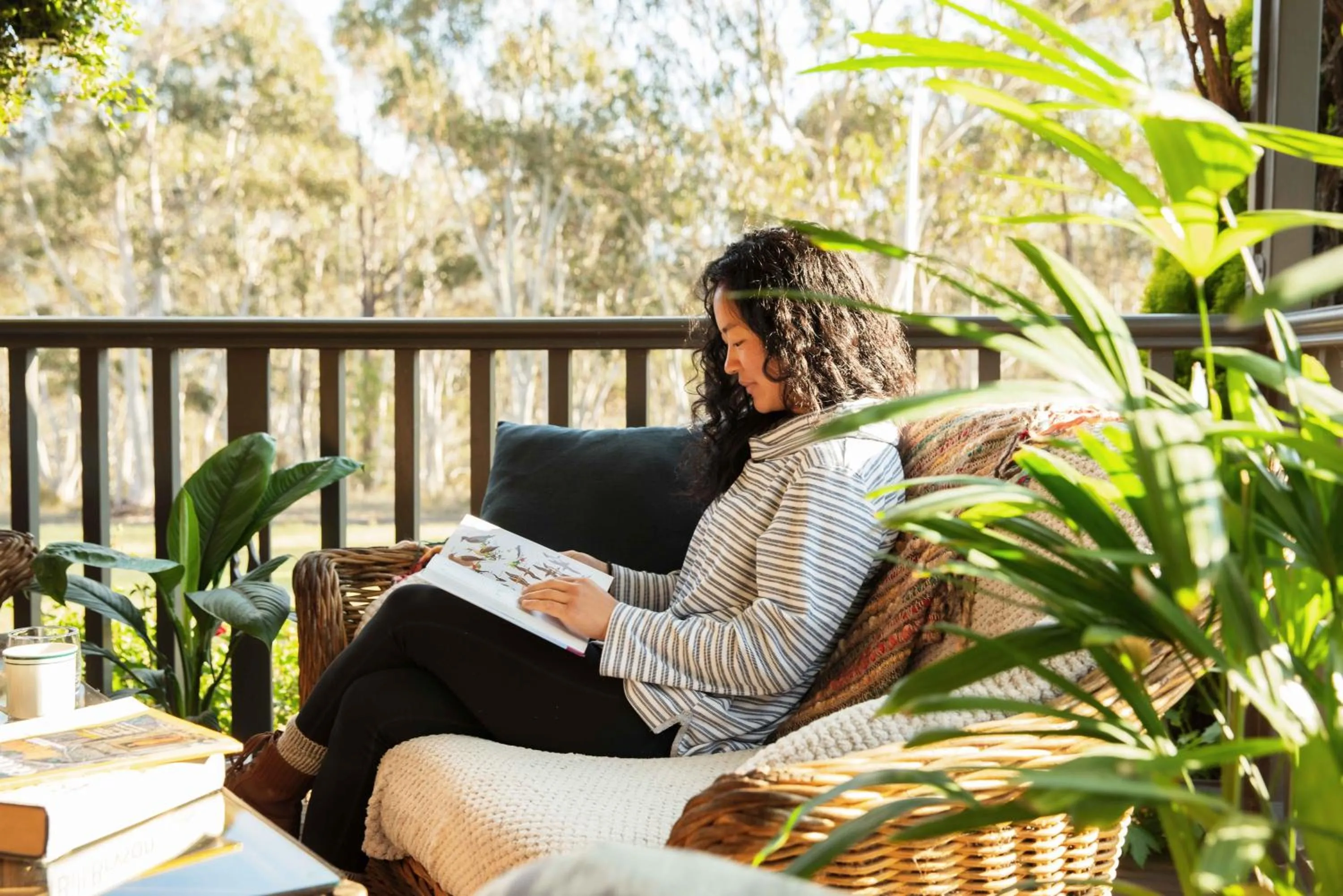 Property building in Maya Sanctuary