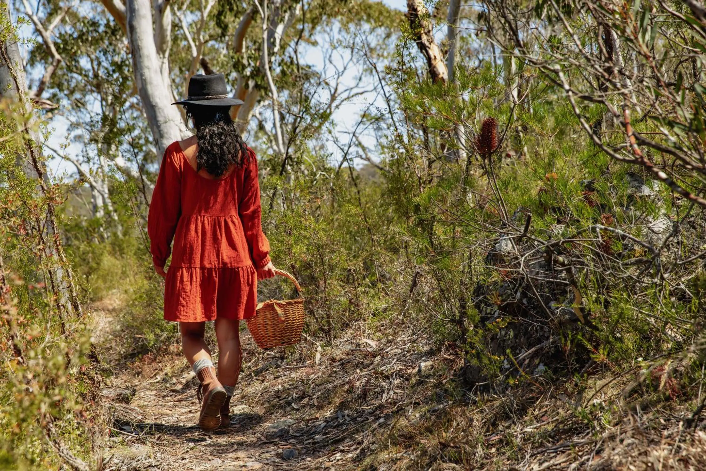 Natural landscape in Maya Sanctuary