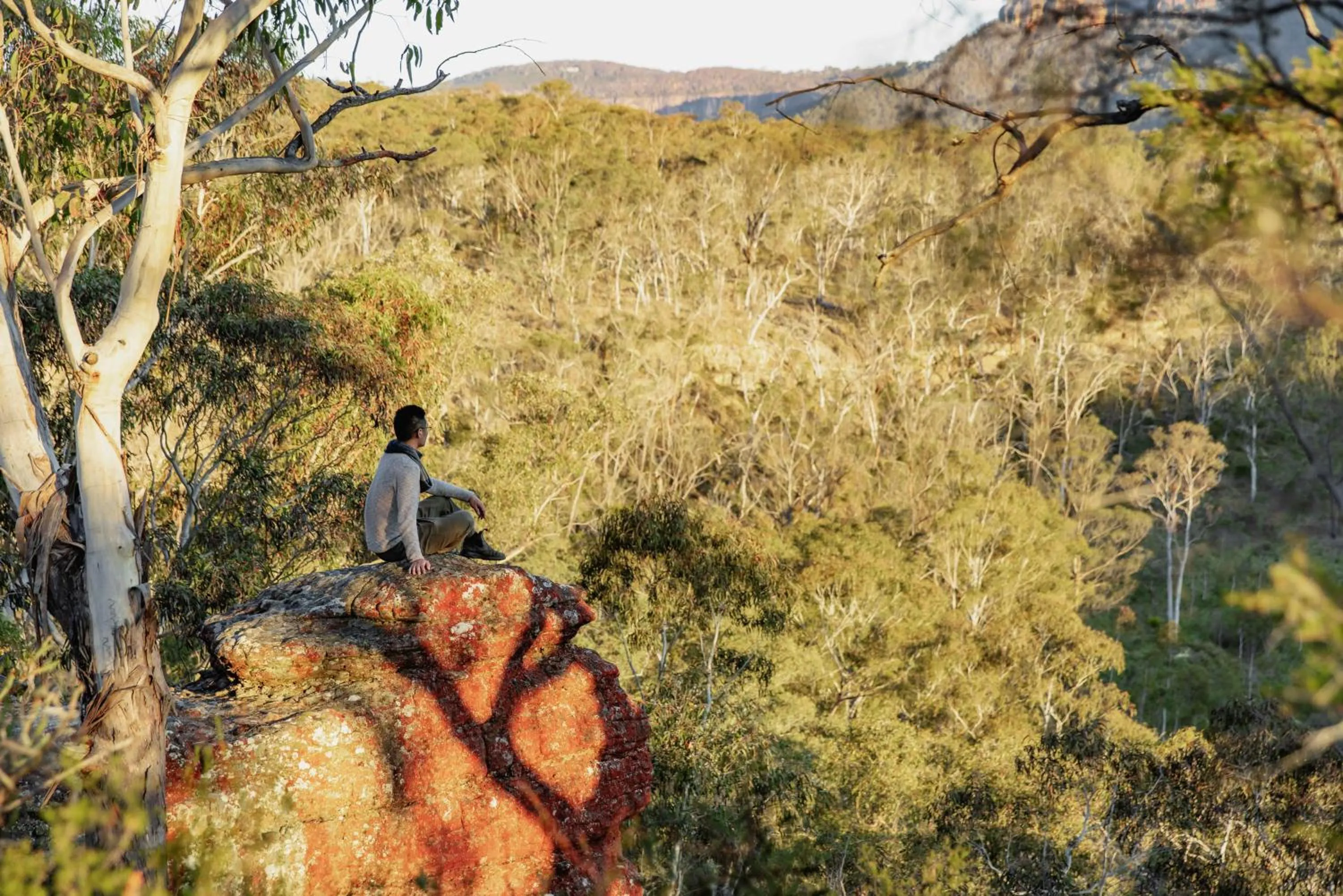 Natural landscape in Maya Sanctuary