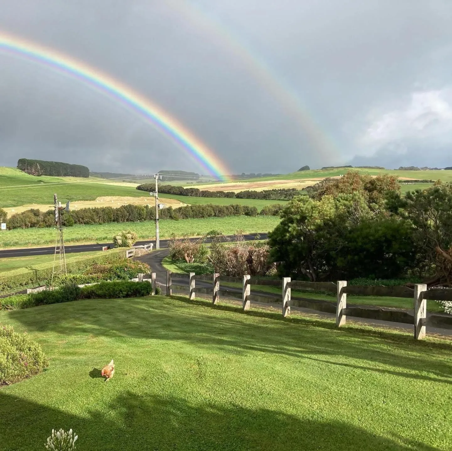 Garden in Daysy Hill Country Cottages
