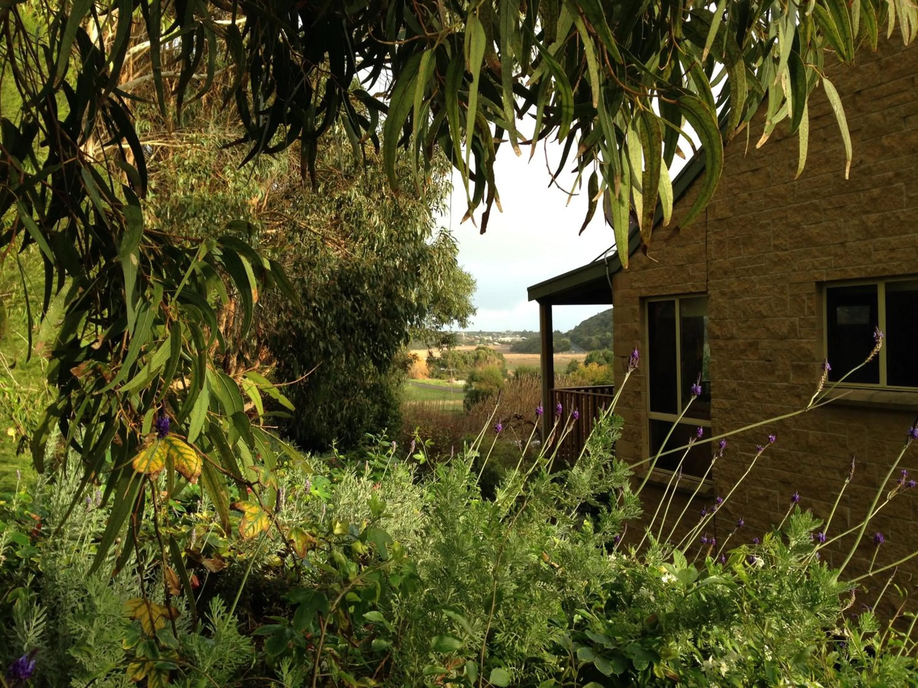 Other in Daysy Hill Country Cottages