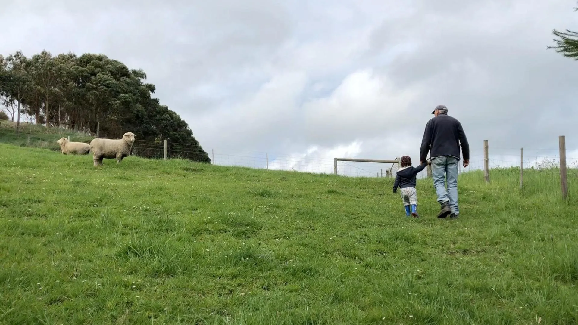 Pets in Daysy Hill Country Cottages