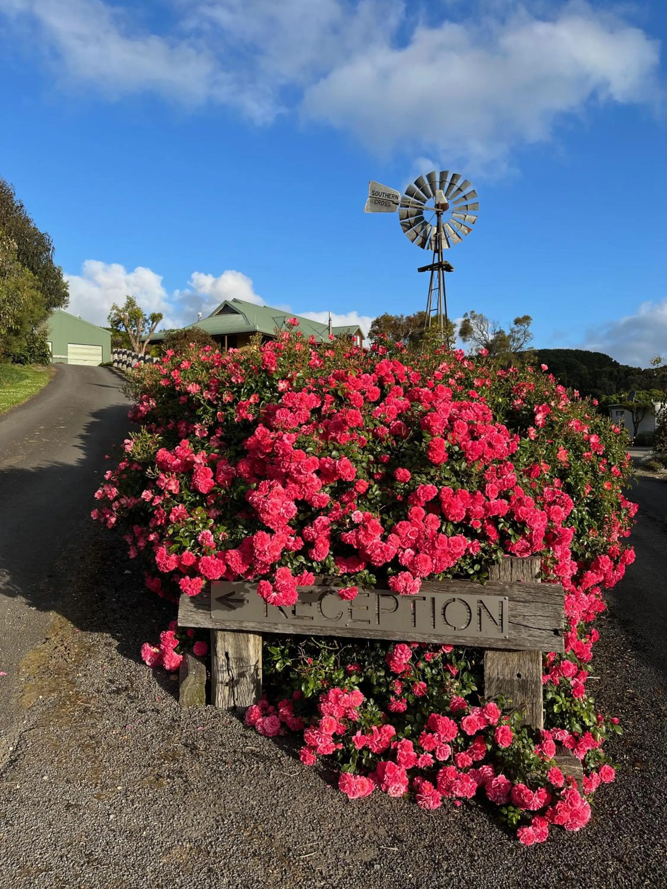 Facade/entrance in Daysy Hill Country Cottages