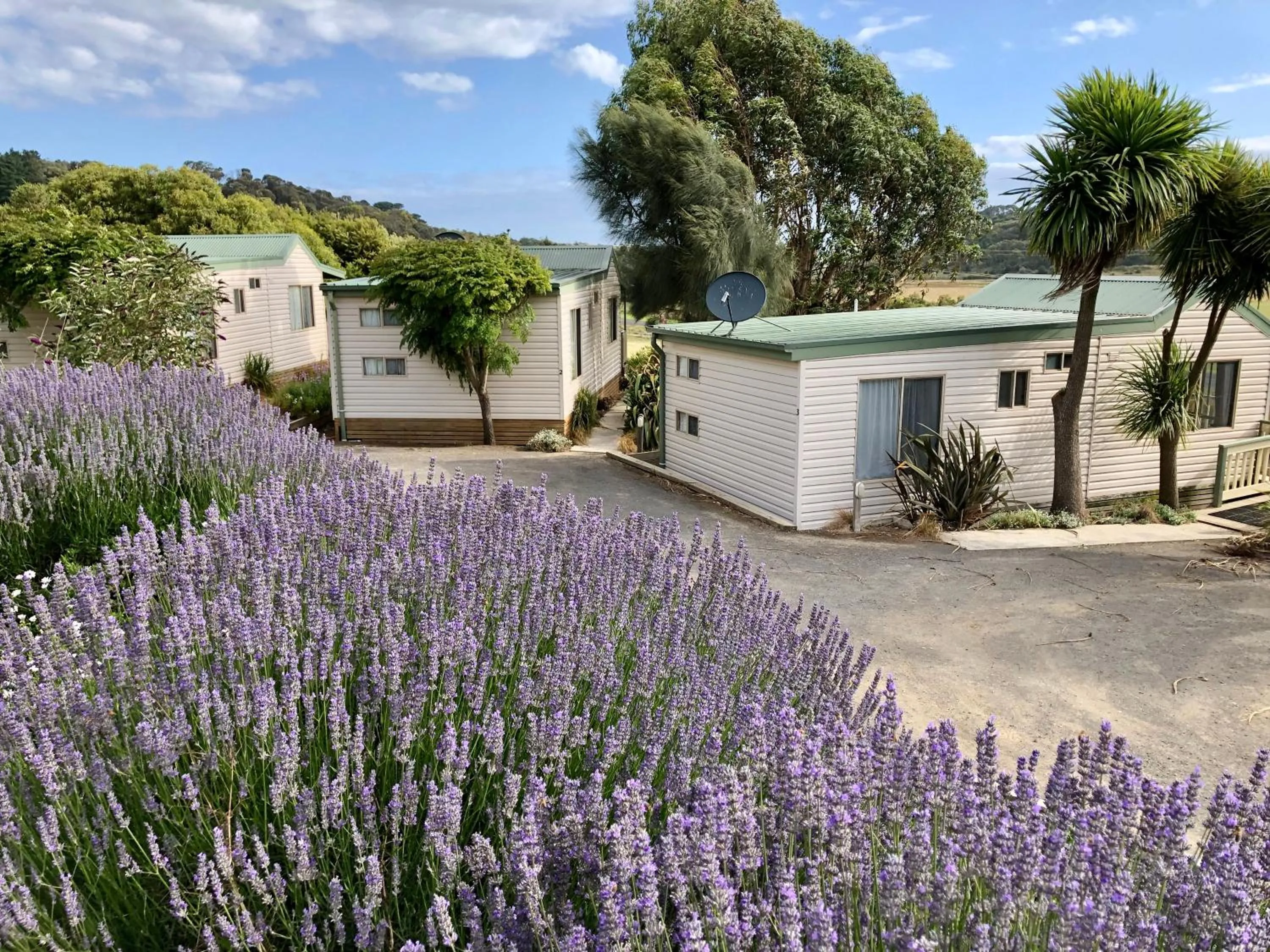 Garden in Daysy Hill Country Cottages