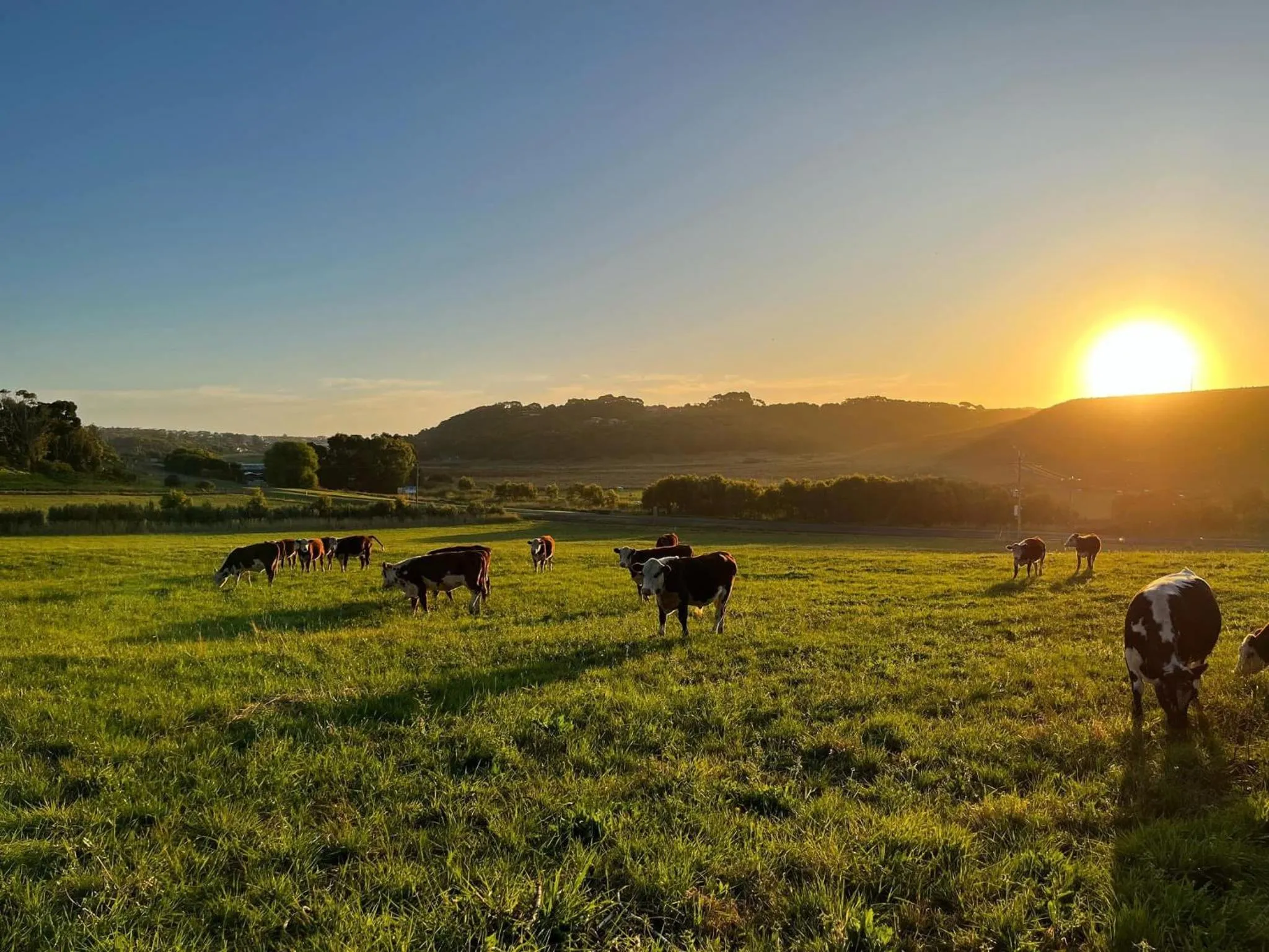 View (from property/room) in Daysy Hill Country Cottages