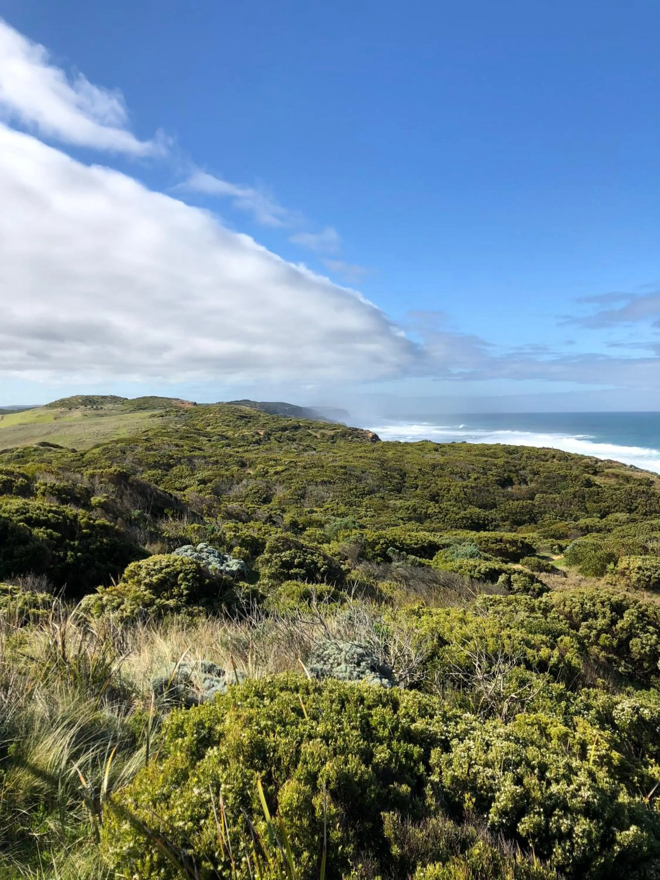 Natural landscape in Daysy Hill Country Cottages