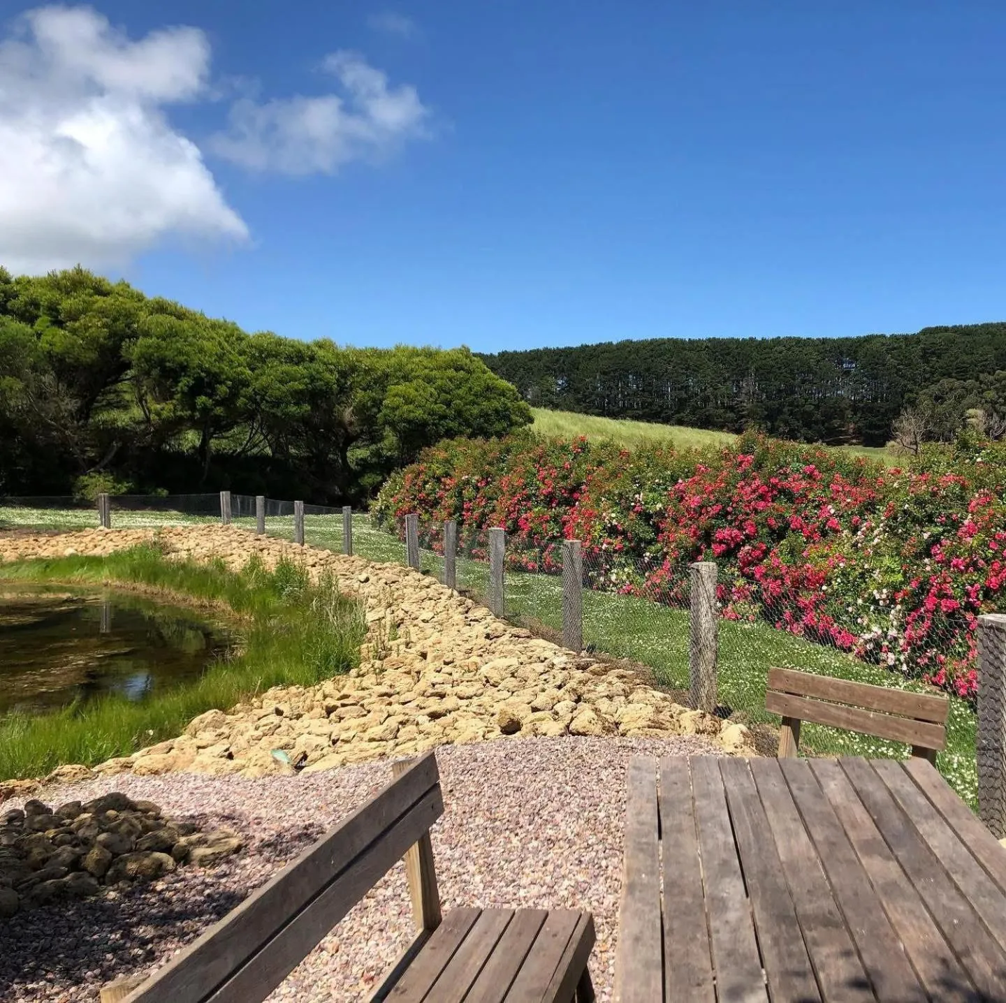 Garden in Daysy Hill Country Cottages