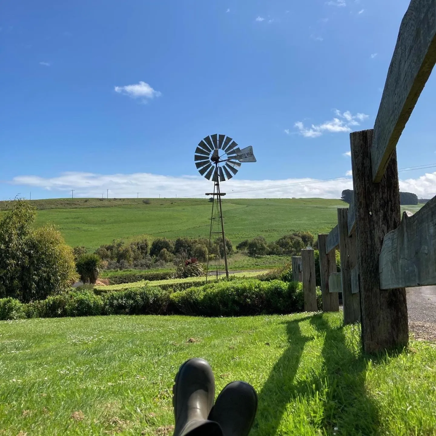 Garden in Daysy Hill Country Cottages