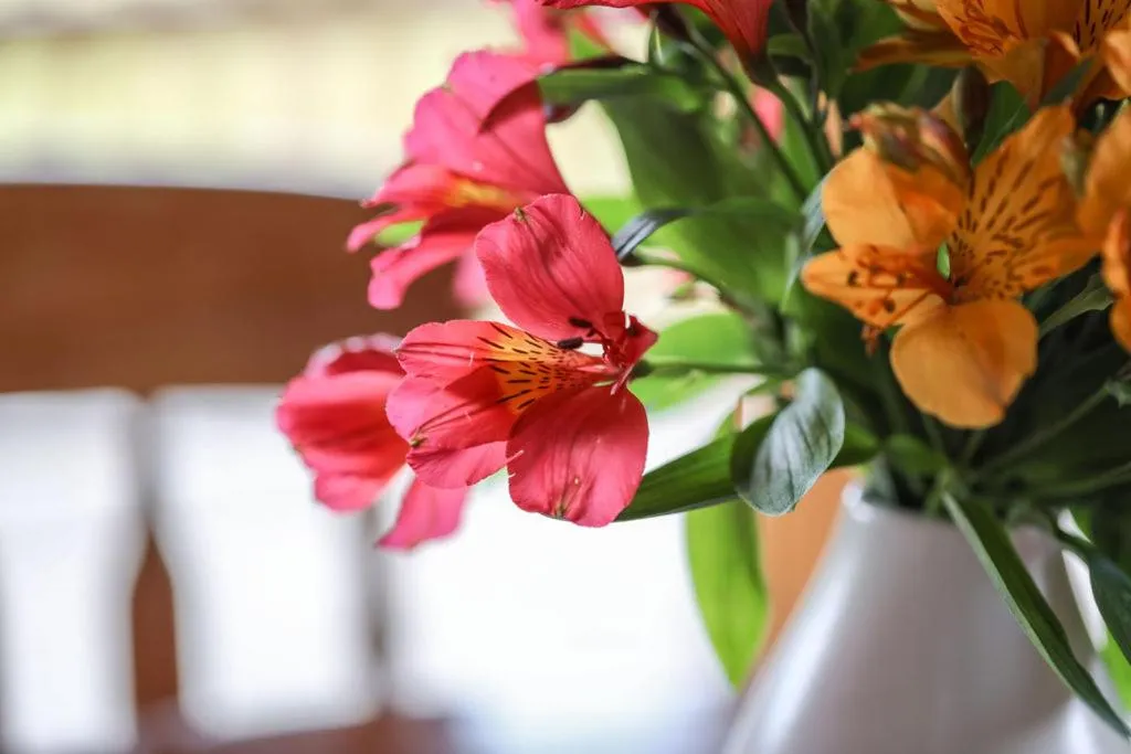 Decorative detail in Daysy Hill Country Cottages