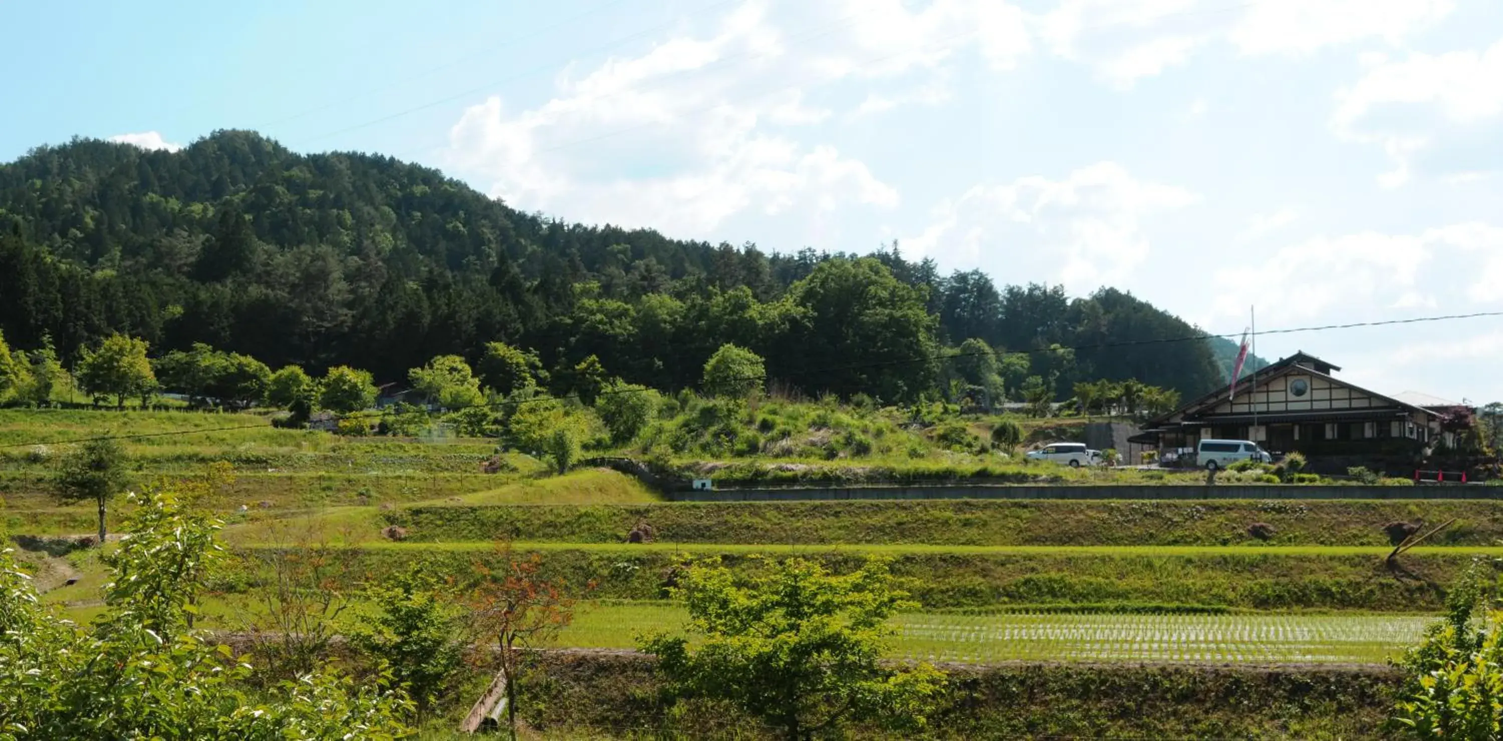 Mountain view in Sakura Guest House Mountain view in Sakura Guest House