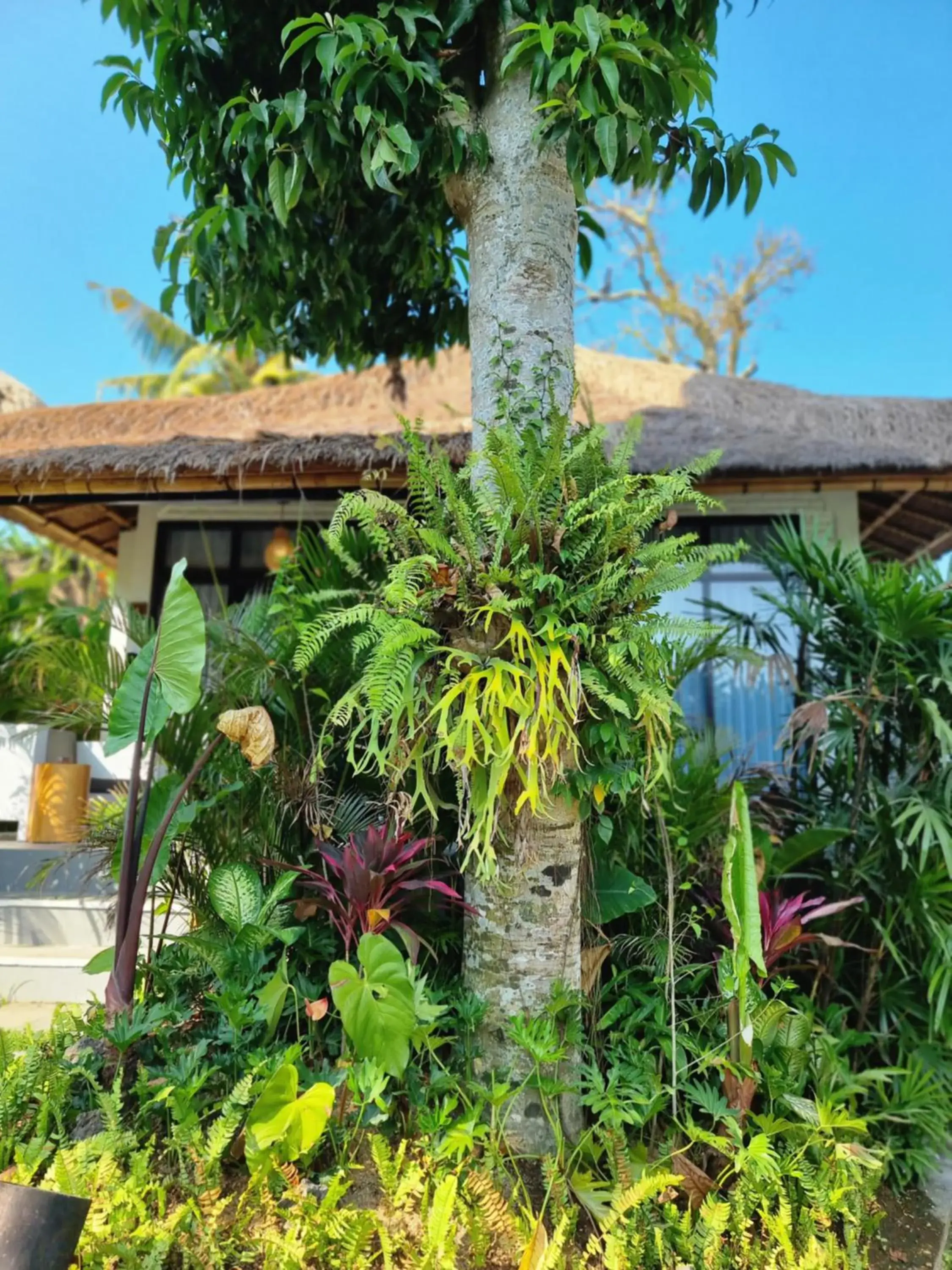 Property building in Ubud Dedari Villas Property building in Ubud Dedari Villas