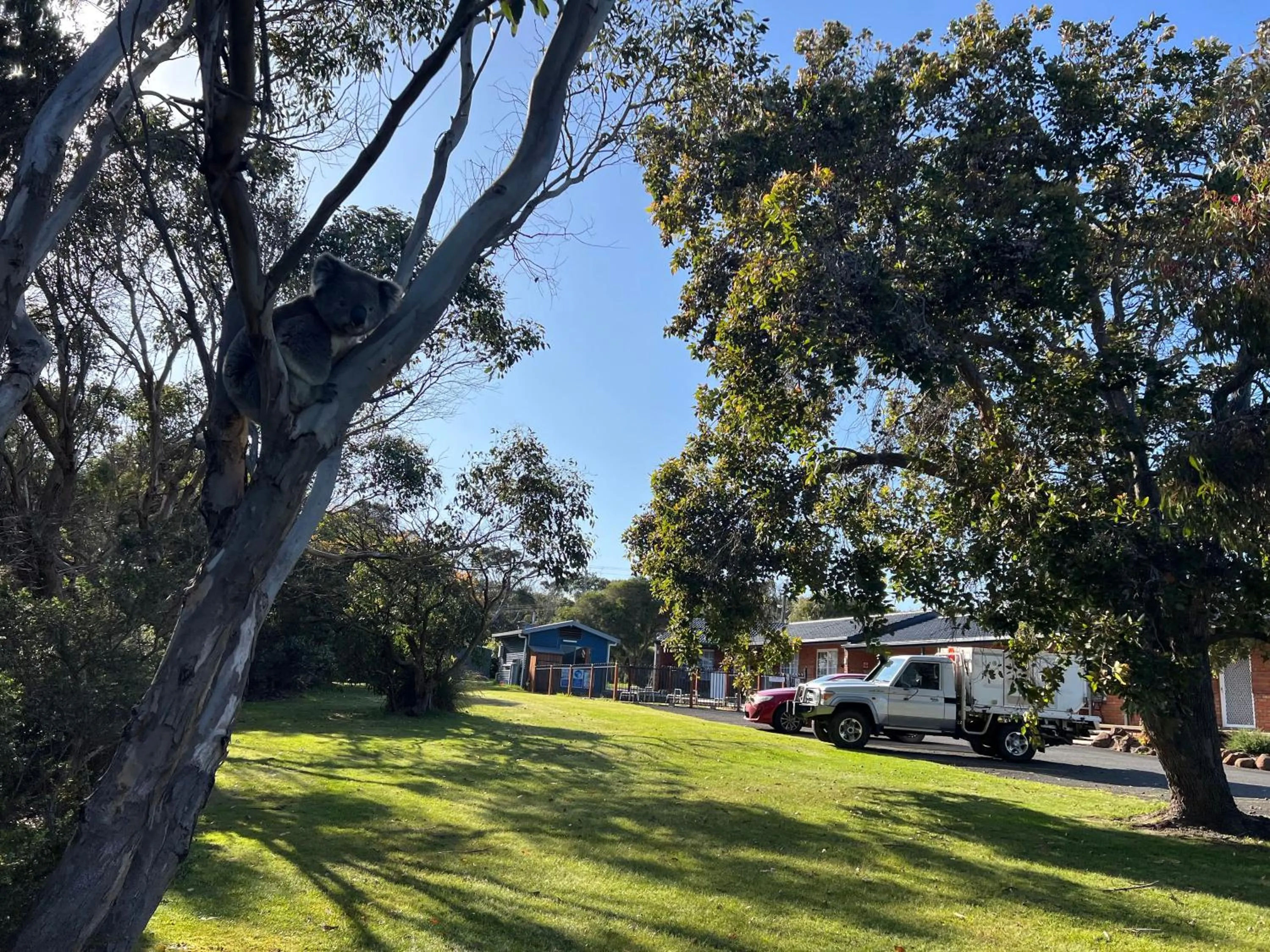 Port Campbell Motor Inn