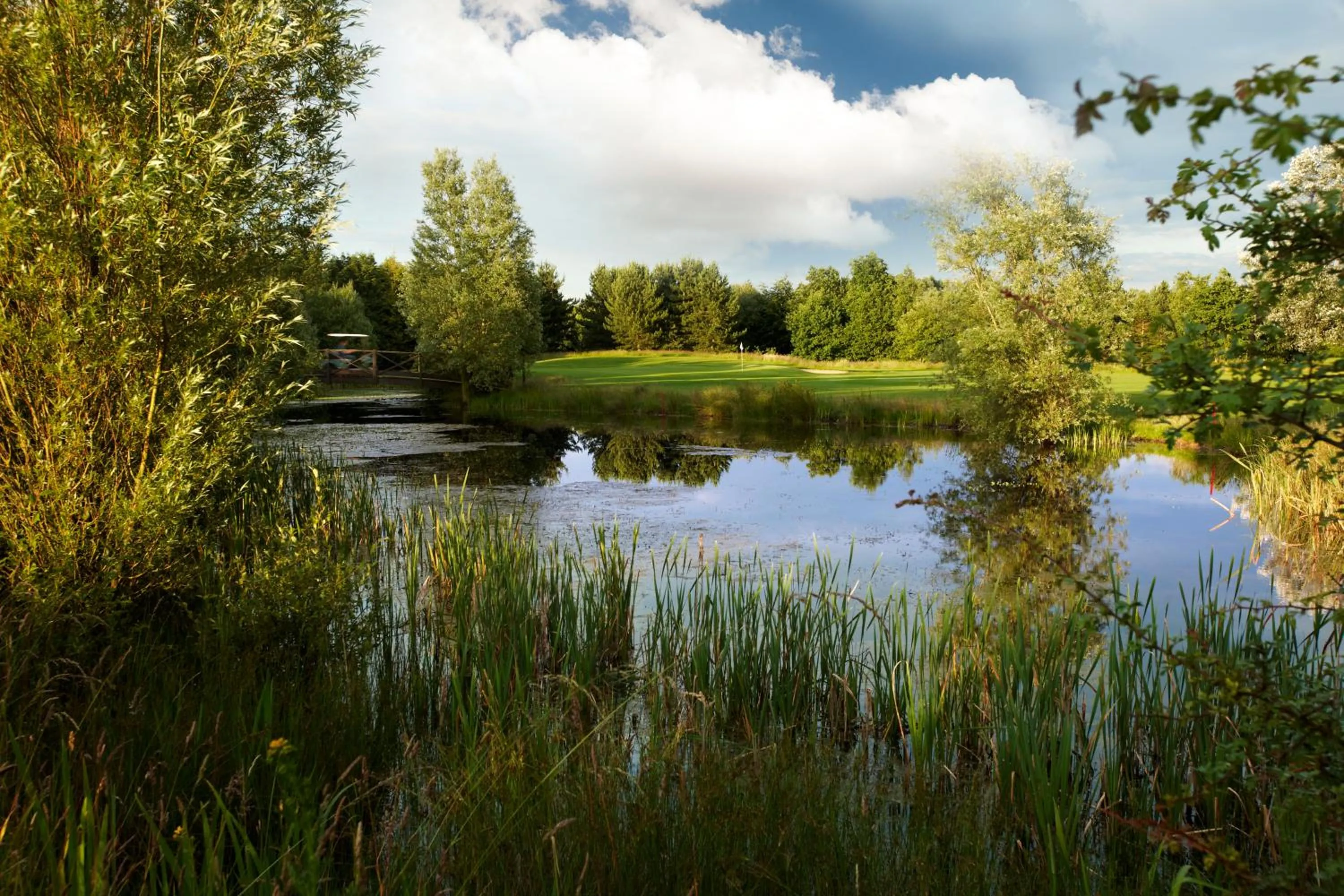 Golfcourse in The Essex Golf & Country Club Hotel