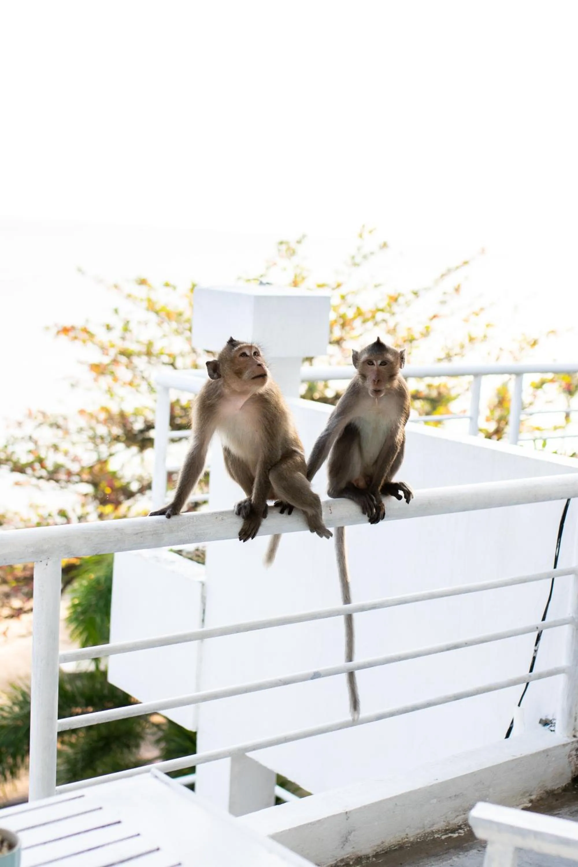 View (from property/room) in Saravoan-Kep Hotel